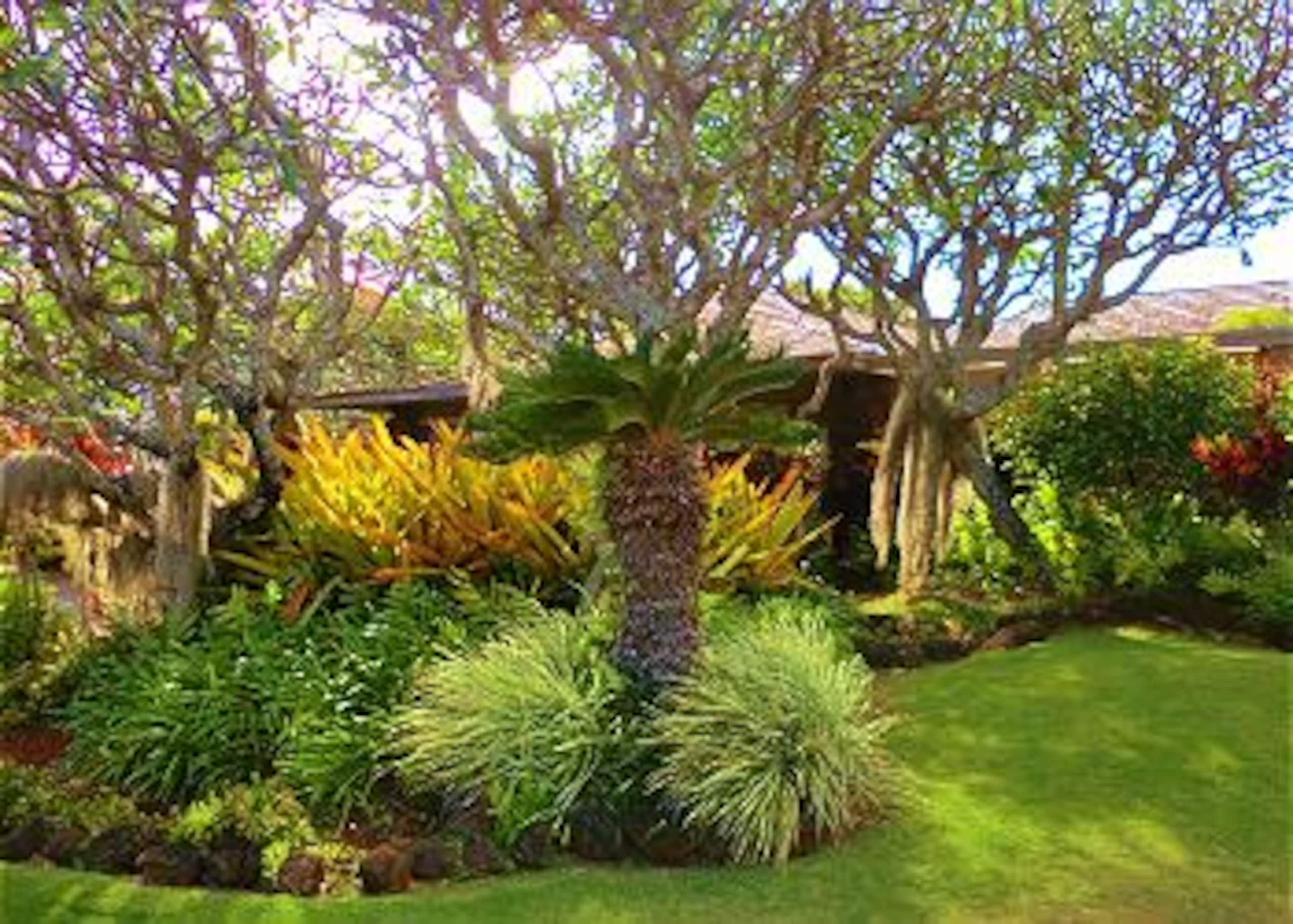 Home in Koloa · ★4.61 · 3 bedrooms · 4 beds · 2.5 baths - Image 39