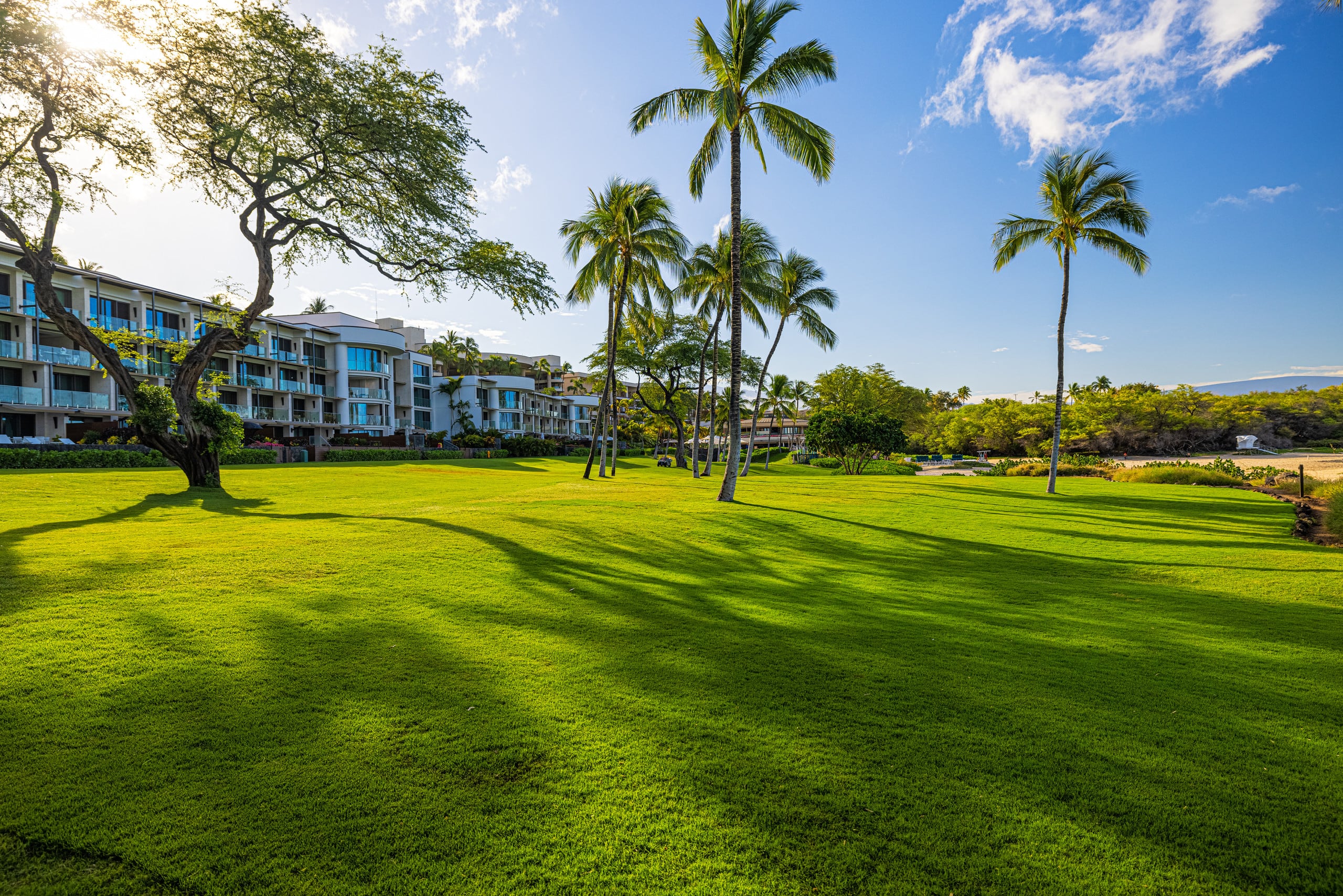Condo in Waimea · ★4.86 · 3 bedrooms · 4 beds · 3 baths - Image 29