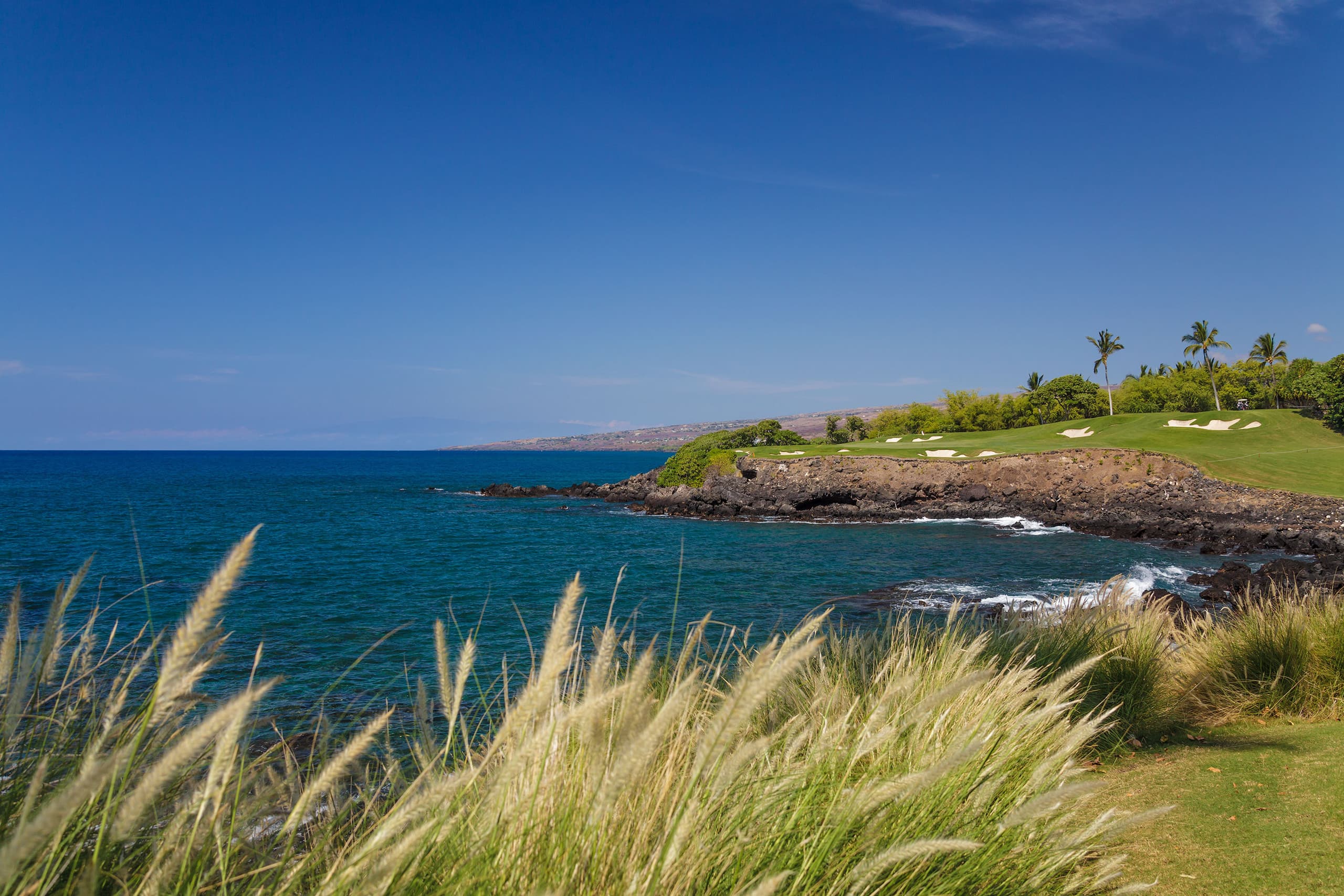 Condo in Waimea · ★4.86 · 3 bedrooms · 4 beds · 3 baths - Image 35