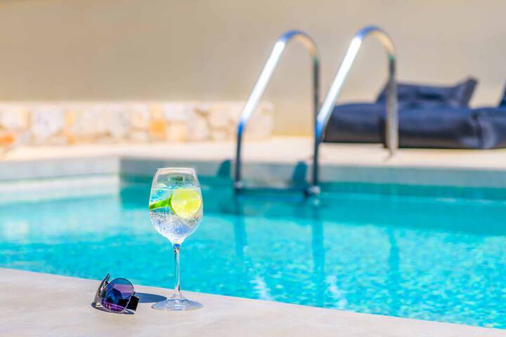 Lambis Harmonia gallery image 5