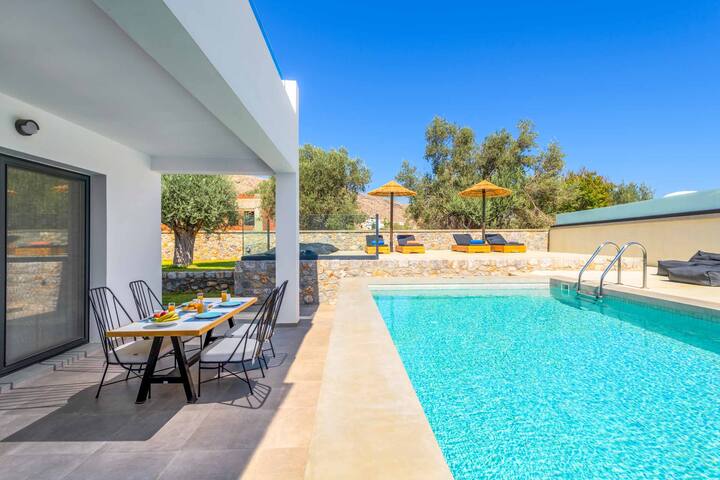 Lambis Harmonia gallery image 4