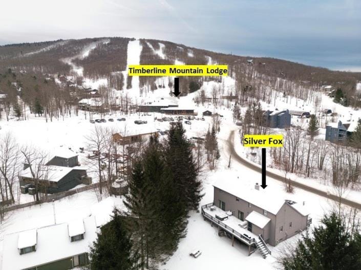 An aerial view captures the snowy landscape, featuring Timberline Mountain Lodge and Silver Fox in the foreground. Surrounding pine trees frame the scene, with ski slopes visible in the background under a clear sky.