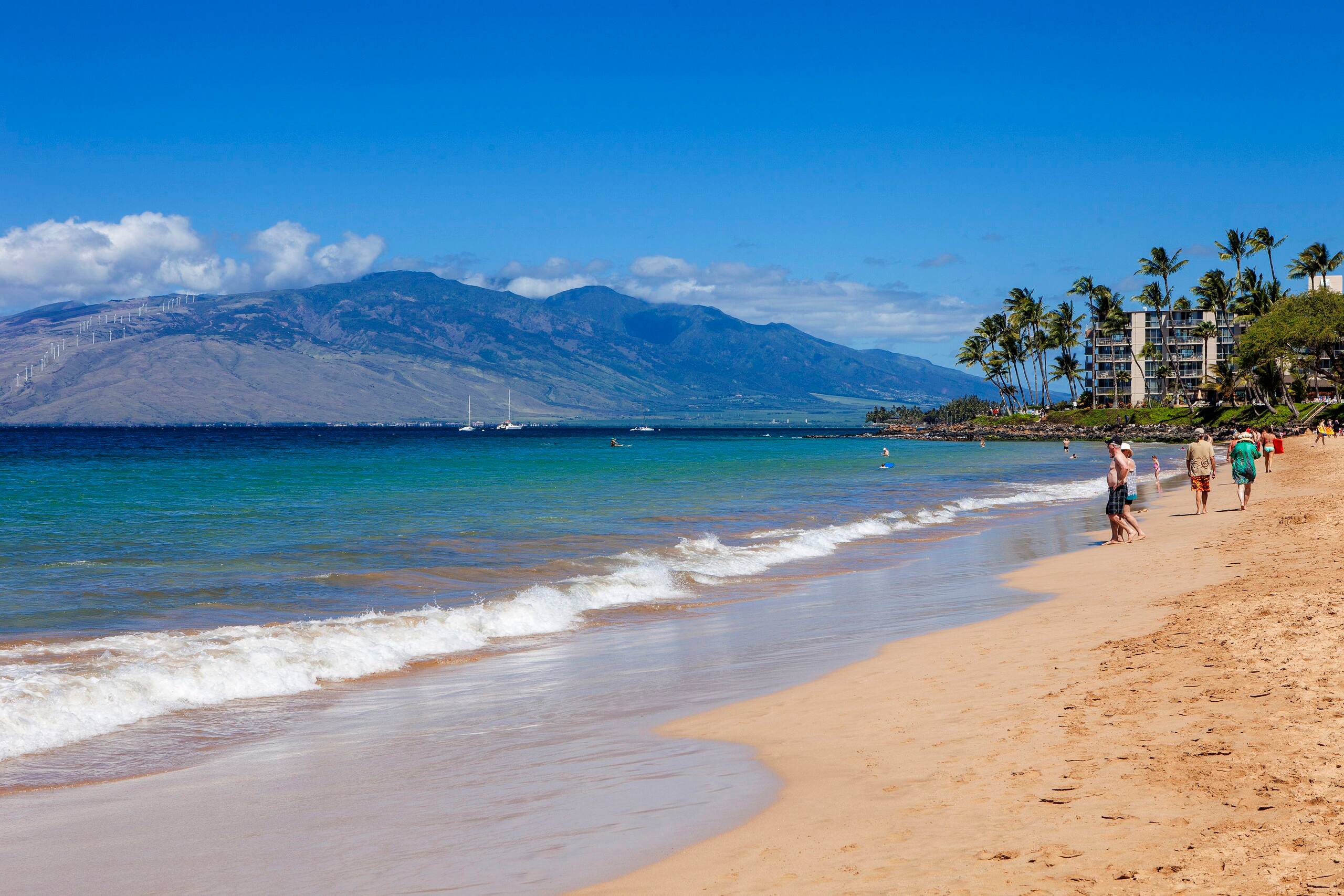 Condo in Kihei · ★4.33 · Studio · 1 bed · 1 bath - Image 44