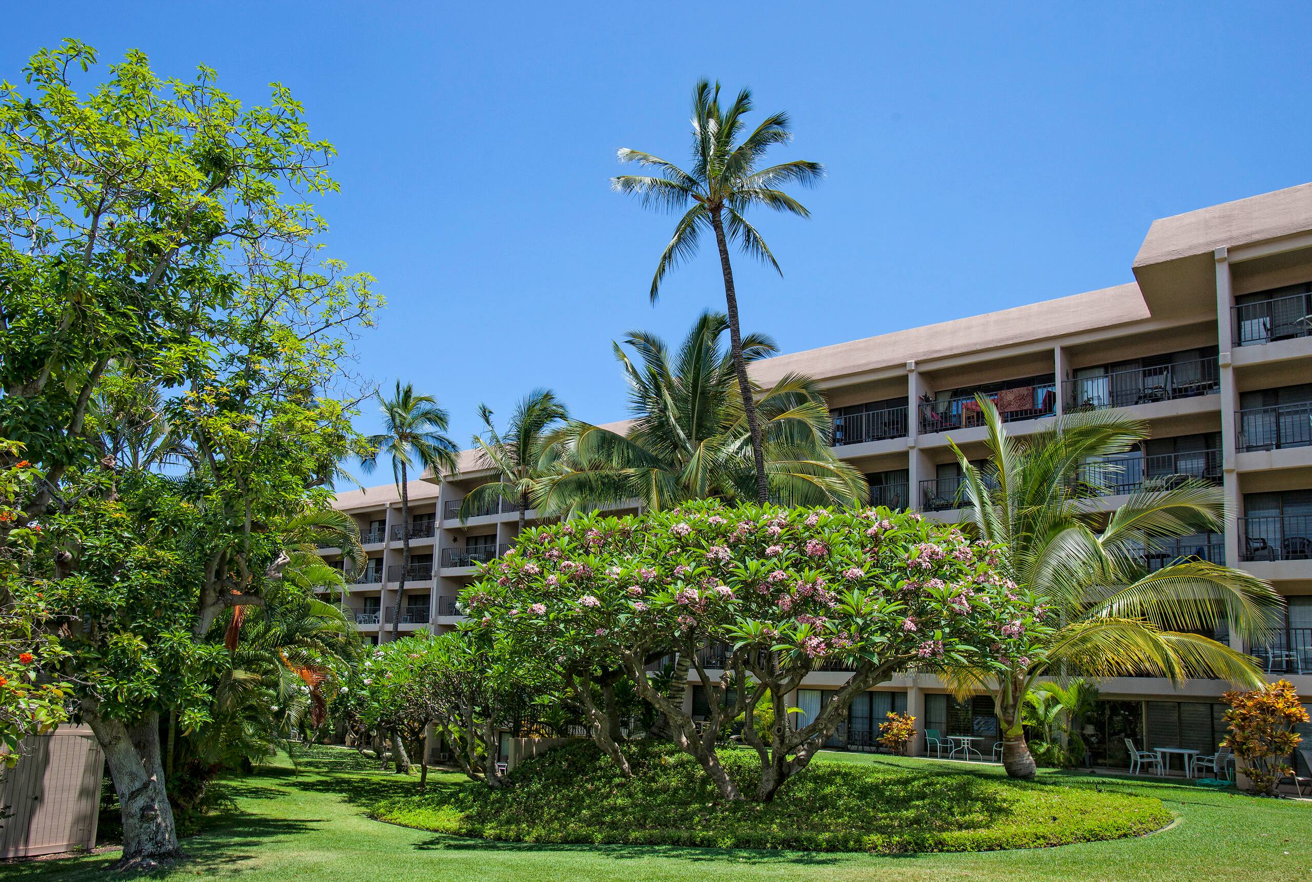 Condo in Kihei · ★4.33 · Studio · 1 bed · 1 bath - Image 36