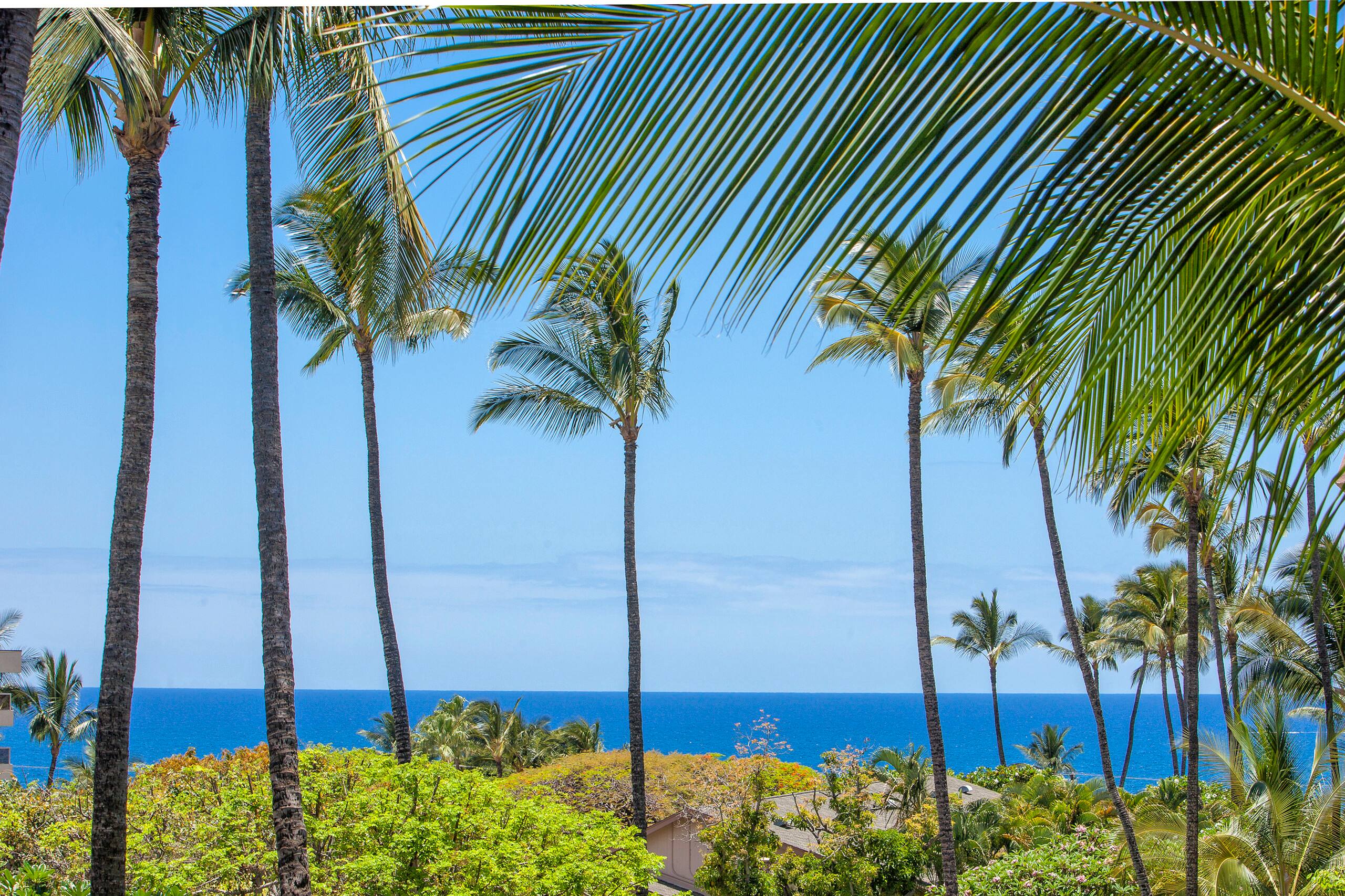 Condo in Kihei · ★4.87 · 2 bedrooms · 3 beds · 2 shared baths - Image 26