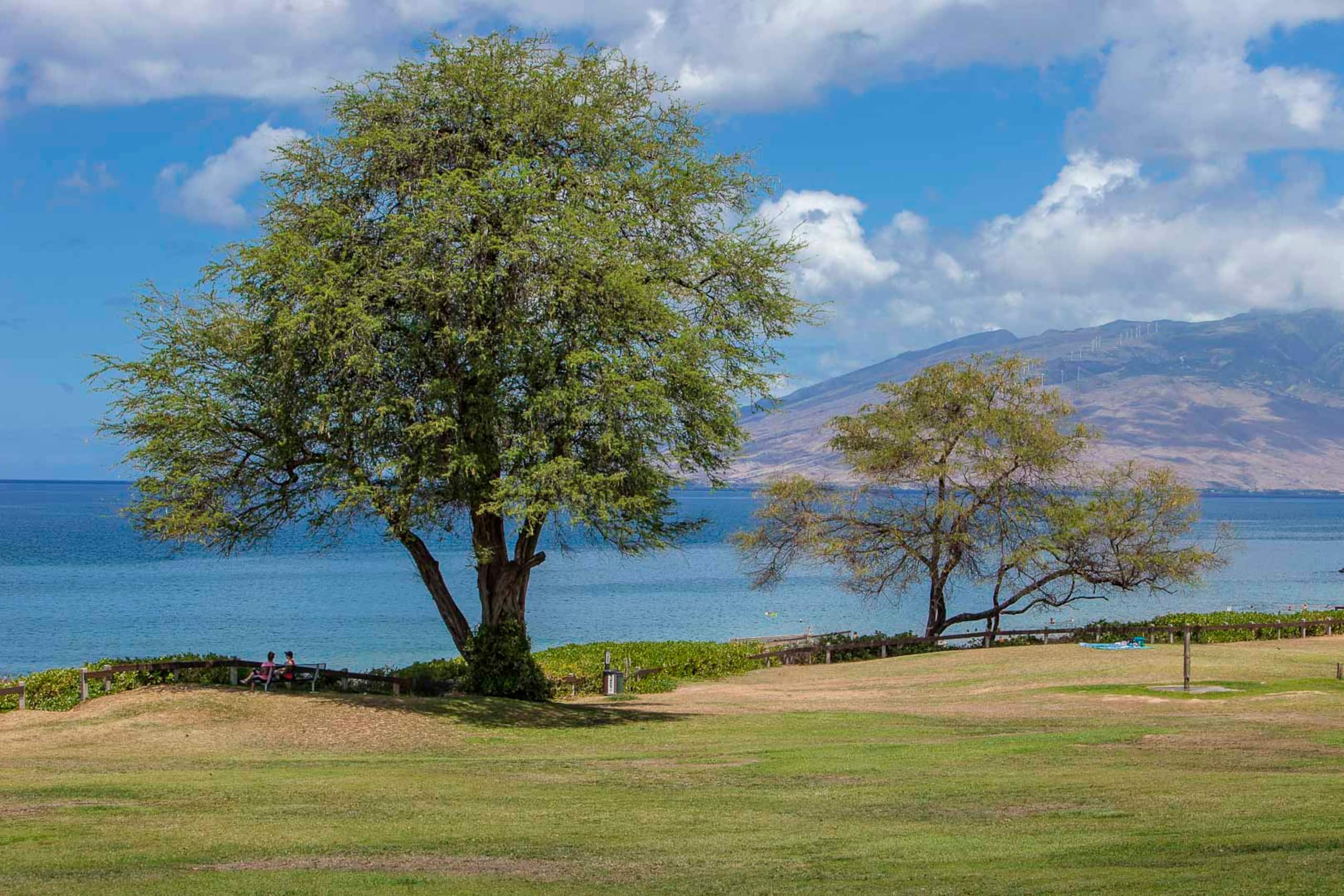 Condo in Kihei · ★4.61 · 2 bedrooms · 4 beds · 2 shared baths - Image 17