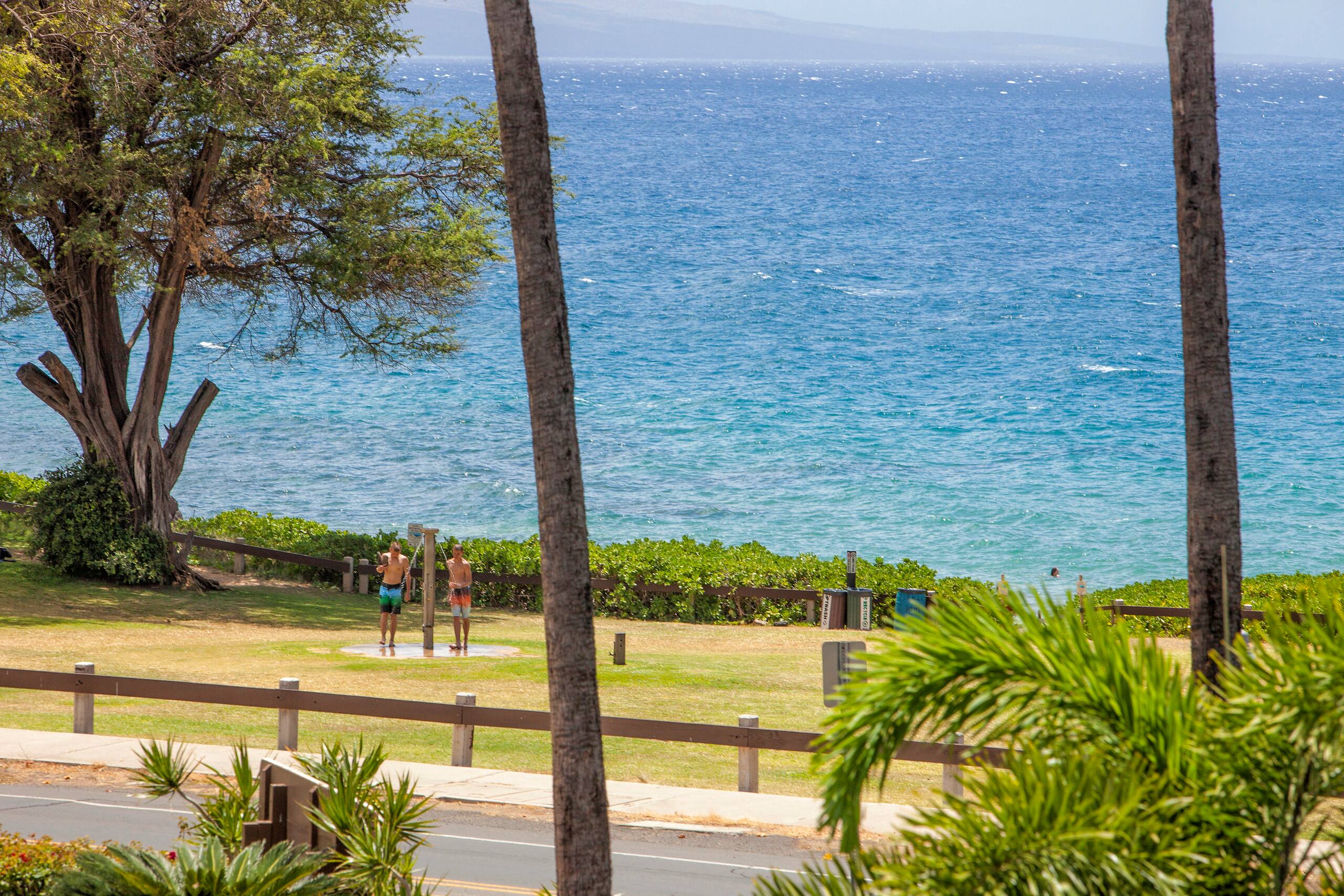 Condo in Kihei · ★4.61 · 2 bedrooms · 4 beds · 2 shared baths - Image 32