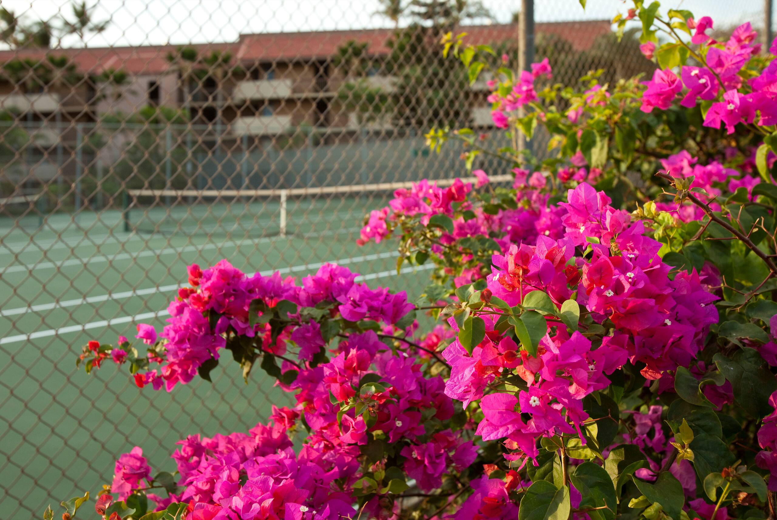 Condo in Kihei · ★4.63 · 1 bedroom · 2 beds · 1 shared bath - Image 20