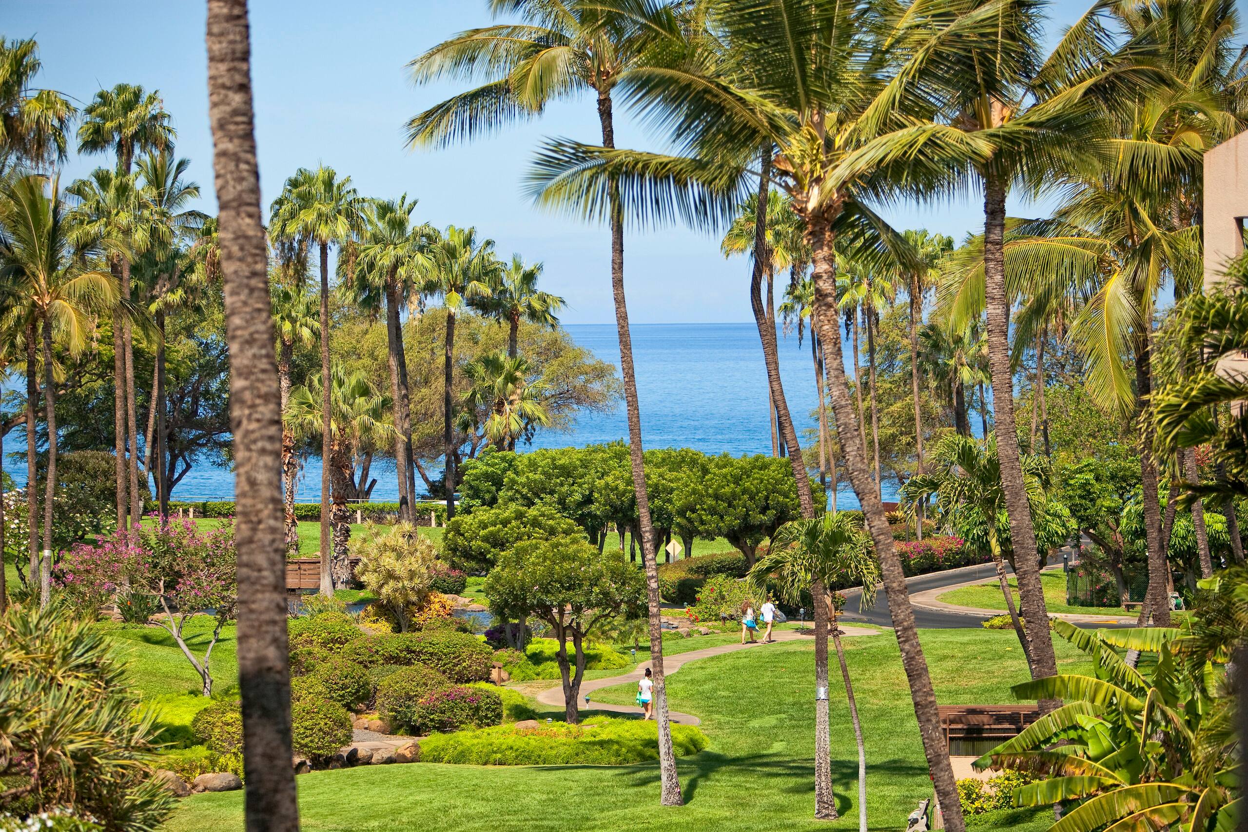 Condo in Kihei · ★4.67 · 1 bedroom · 2 beds · 2 baths - Image 27