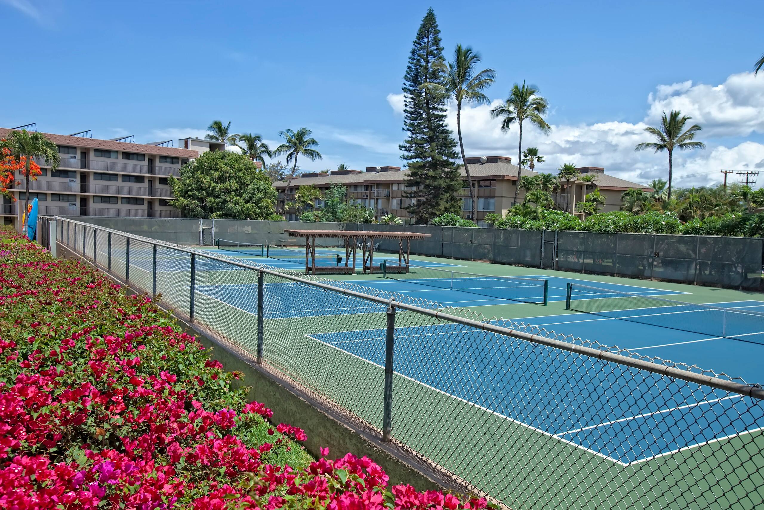 Condo in Kihei · ★4.73 · 2 bedrooms · 4 beds · 2 shared baths - Image 42