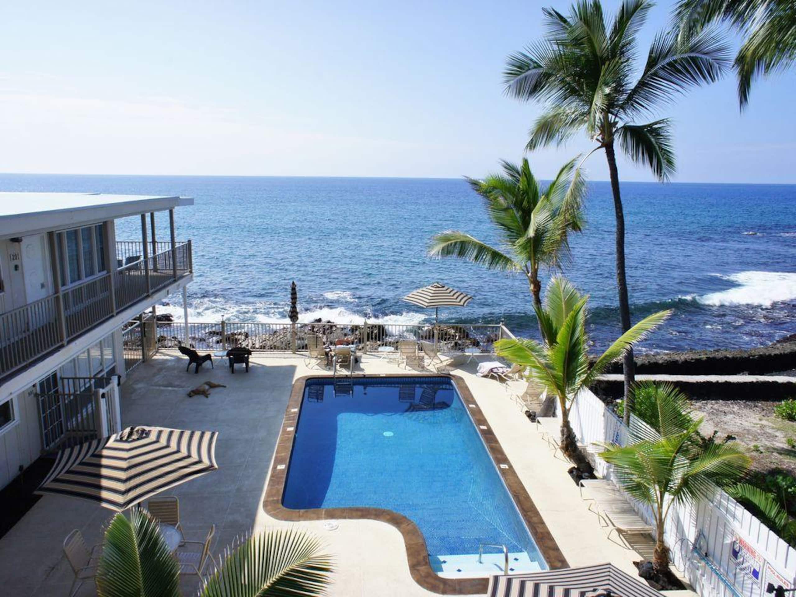 Condo in Kailua-Kona · ★4.47 · 1 bedroom · 2 beds · 1 bath - Image 35