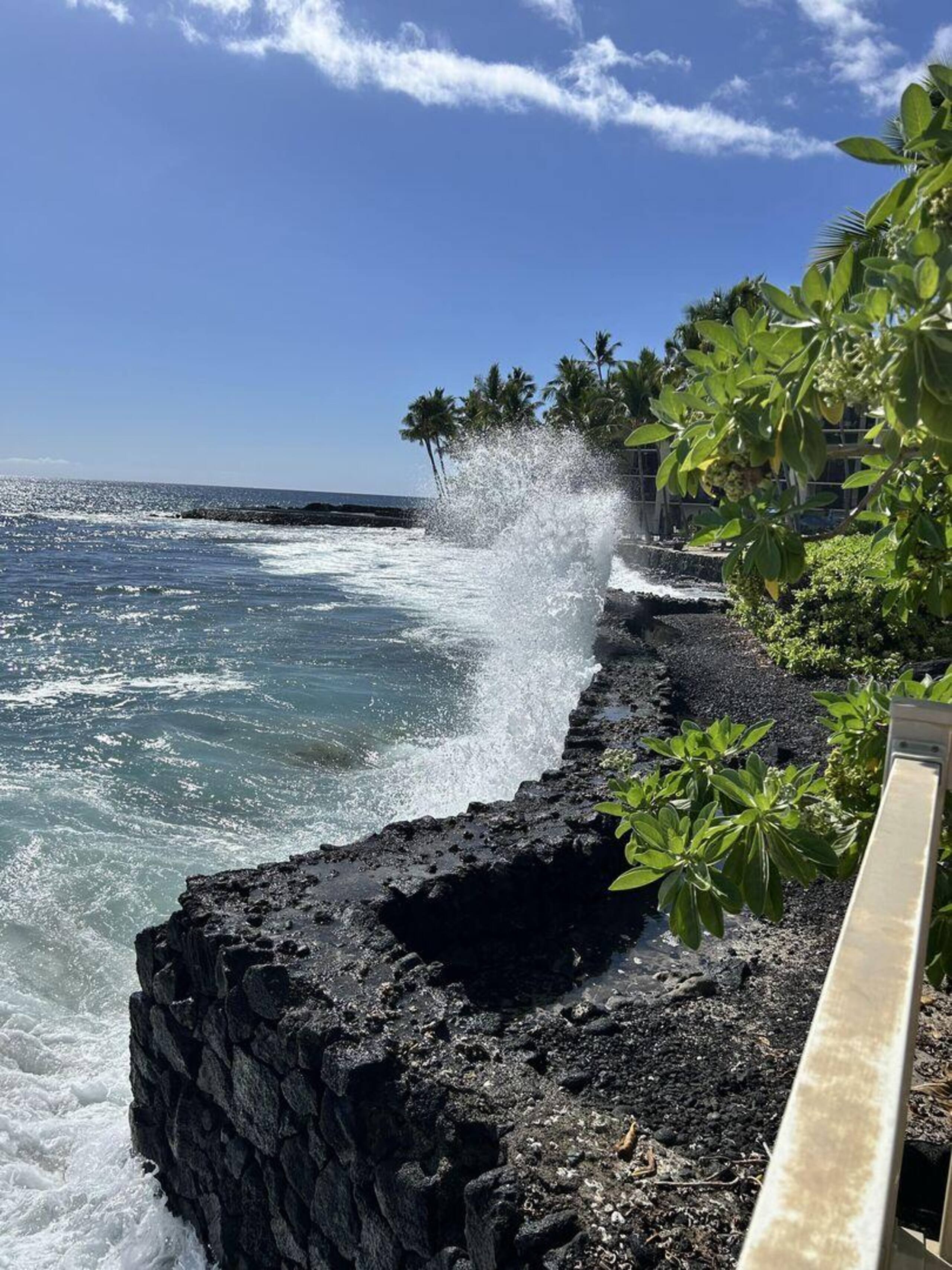 Condo in Kailua-Kona · ★4.47 · 1 bedroom · 2 beds · 1 bath - Image 30