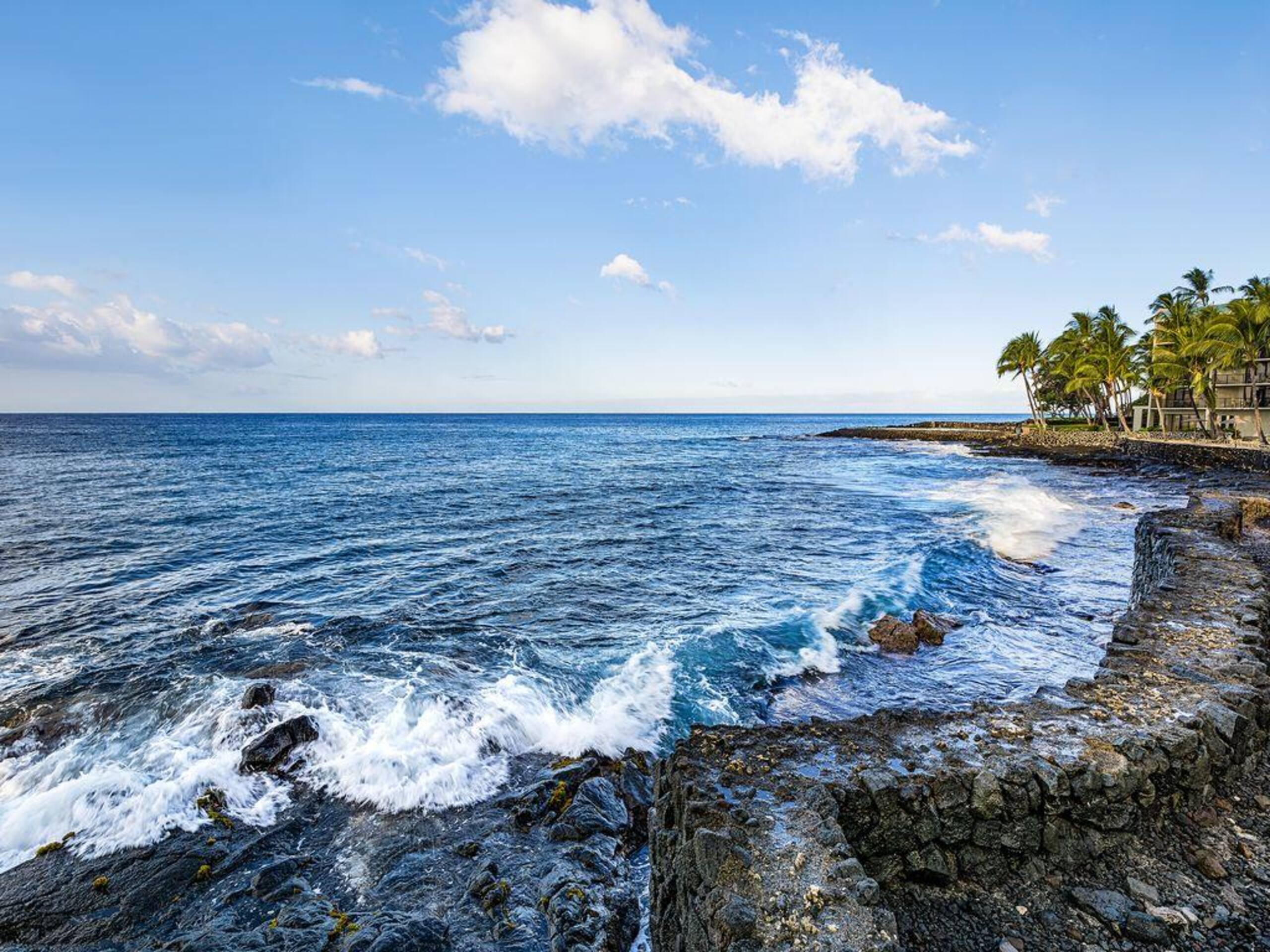 Condo in Kailua-Kona · ★4.47 · 1 bedroom · 2 beds · 1 bath - Image 41