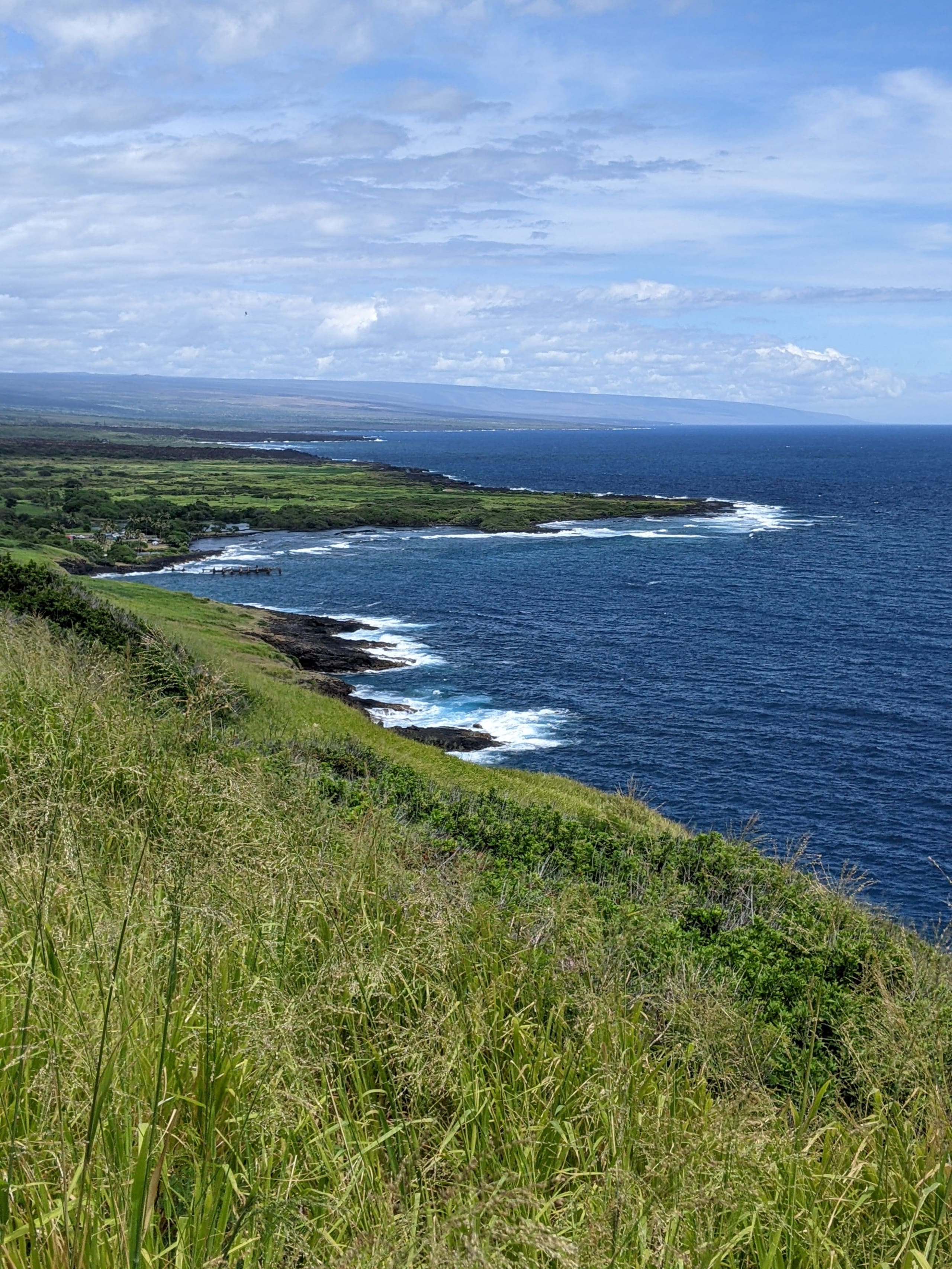 Condo in Pahala · ★4.73 · 1 bedroom · 2 beds · 1 shared bath - Image 13
