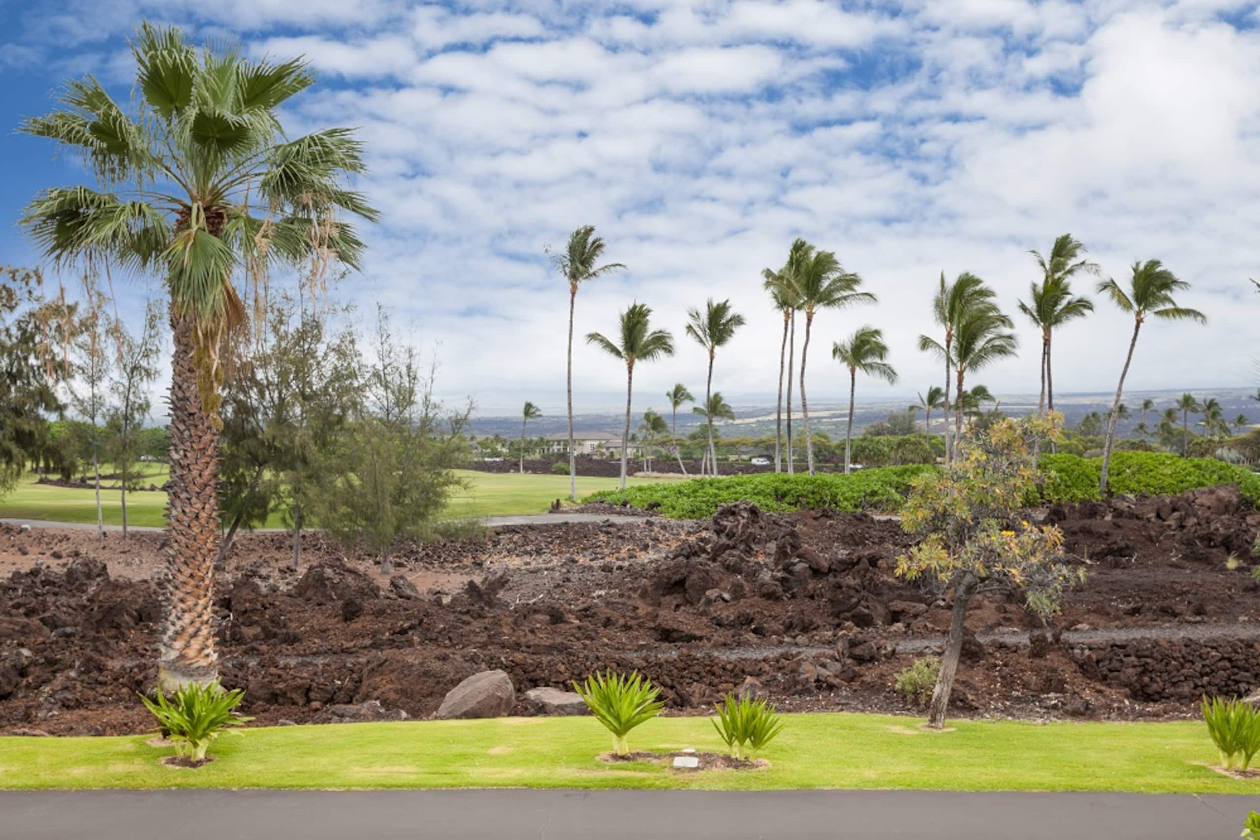 Beach Gear Included 1501 Waikoloa Colony Villas - Photo 28