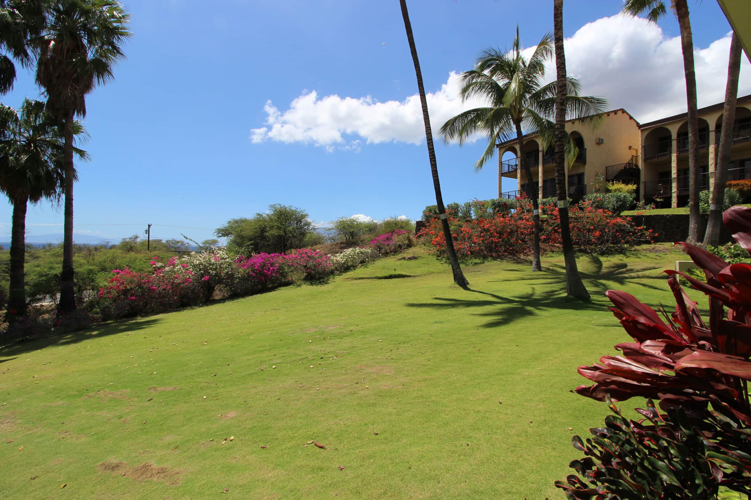 Condo in Kihei · ★4.63 · 2 bedrooms · 2 beds · 1 bath - Image 30