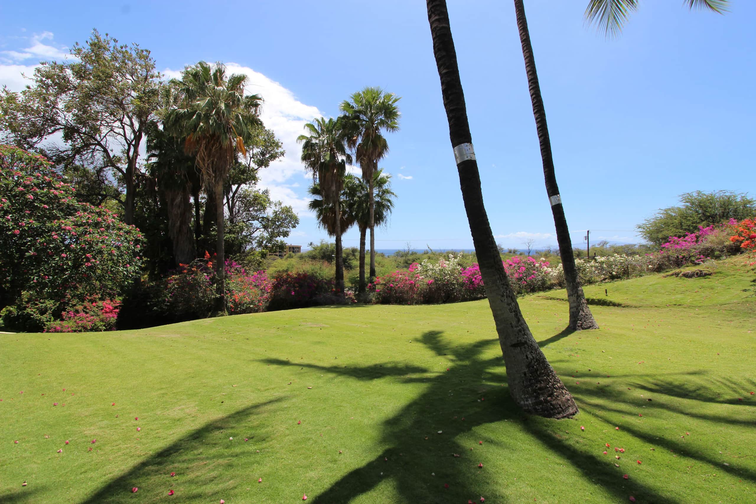 Condo in Kihei · ★4.63 · 2 bedrooms · 2 beds · 1 bath - Image 26