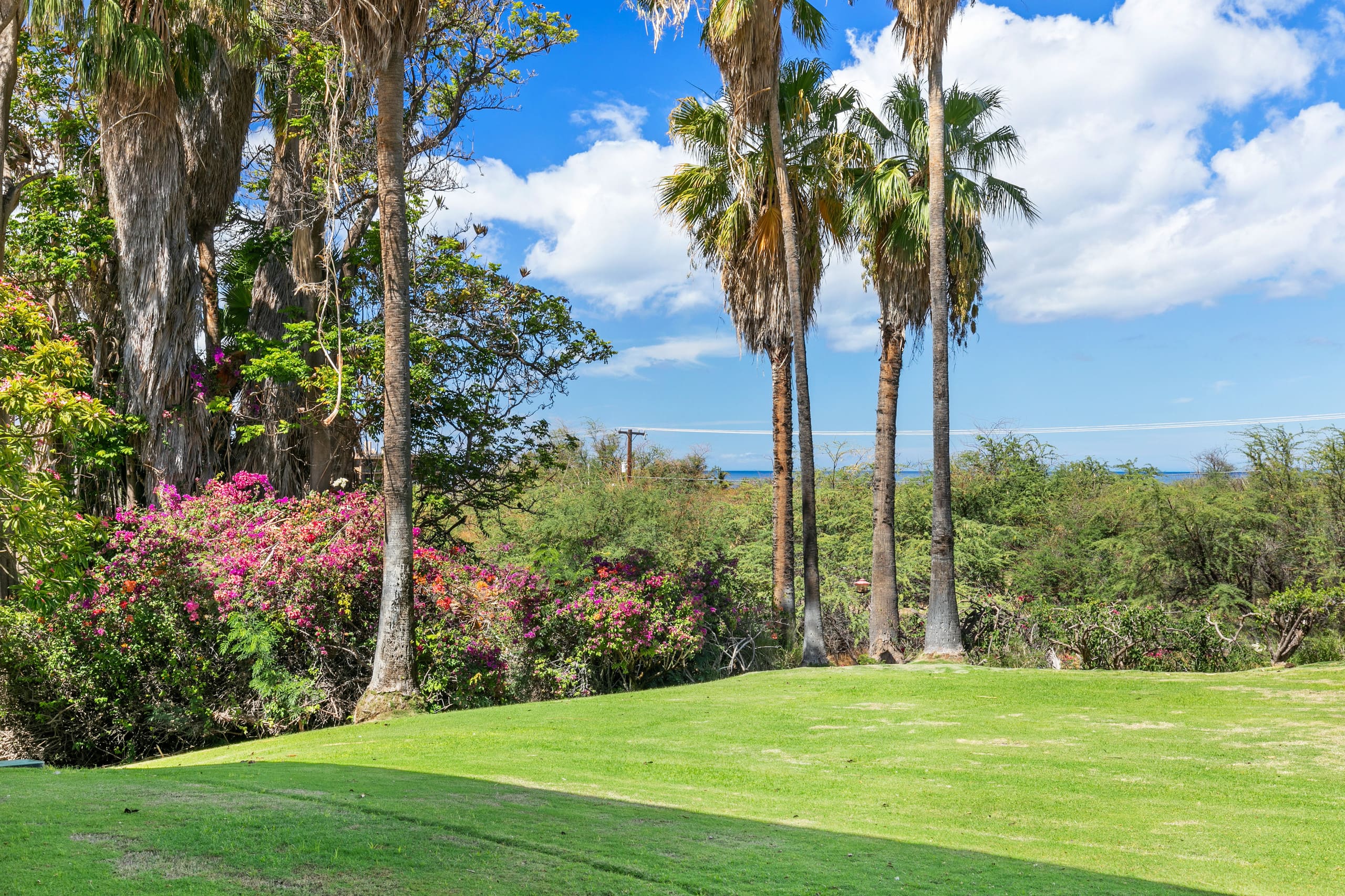 Condo in Kihei · ★4.63 · 2 bedrooms · 2 beds · 1 bath - Image 25