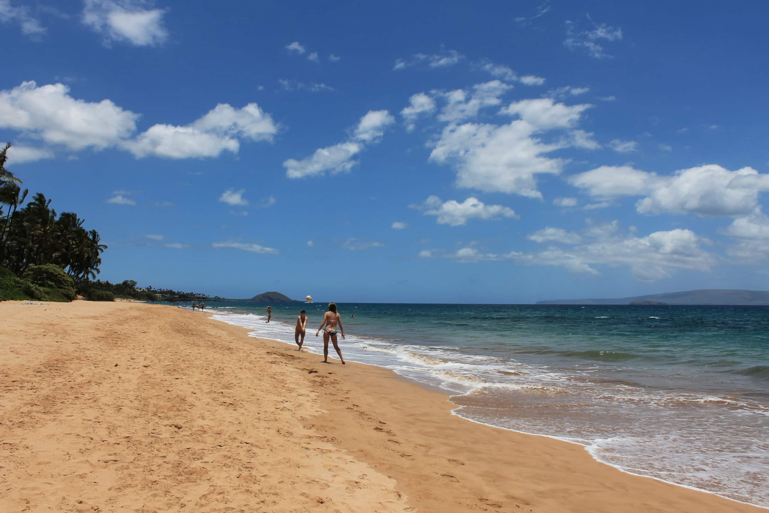 Condo in Kihei · ★4.63 · 2 bedrooms · 2 beds · 1 bath - Image 33