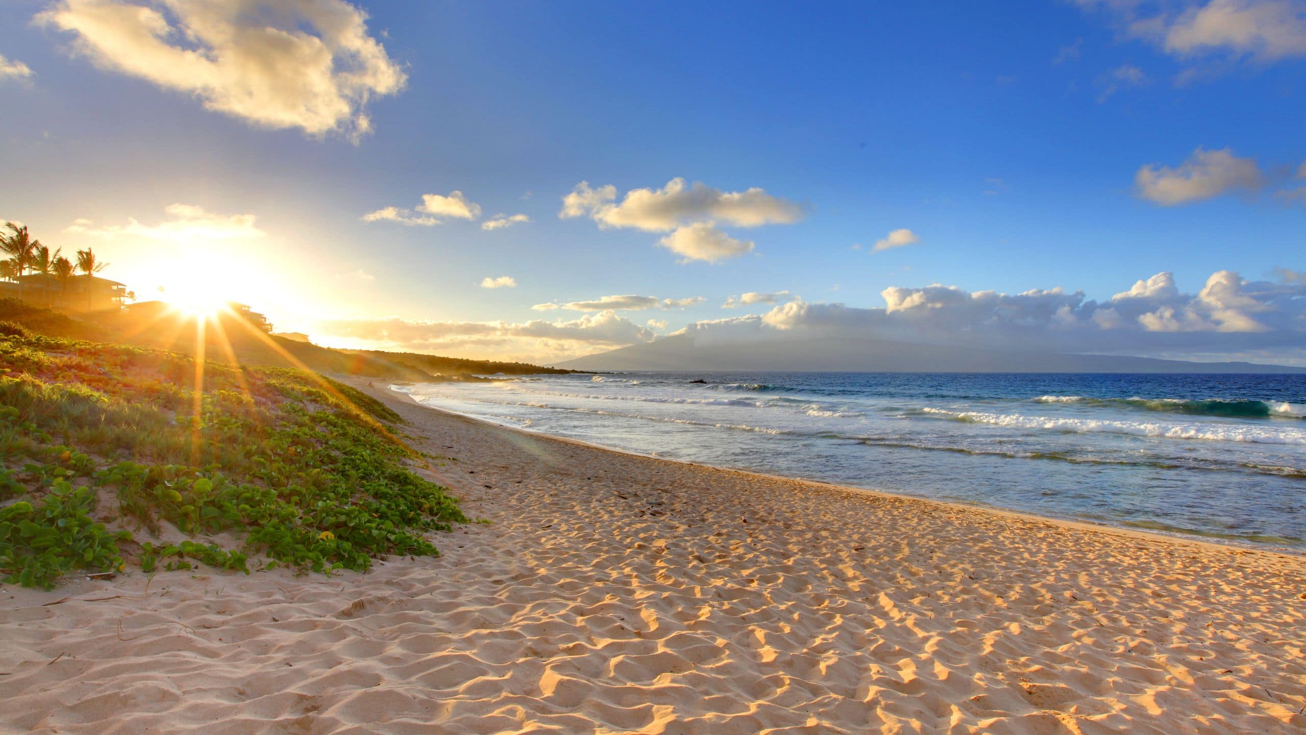Condo in Wailuku · ★4.69 · 2 bedrooms · 3 beds · 2 baths - Image 58
