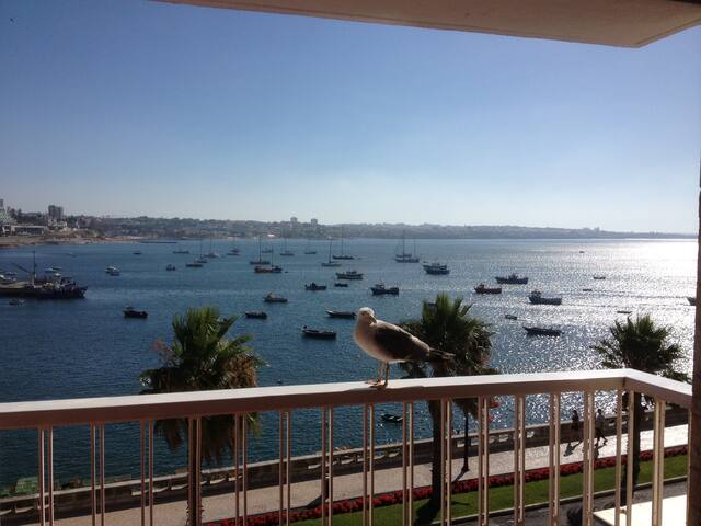 Baia Iii gallery image 2