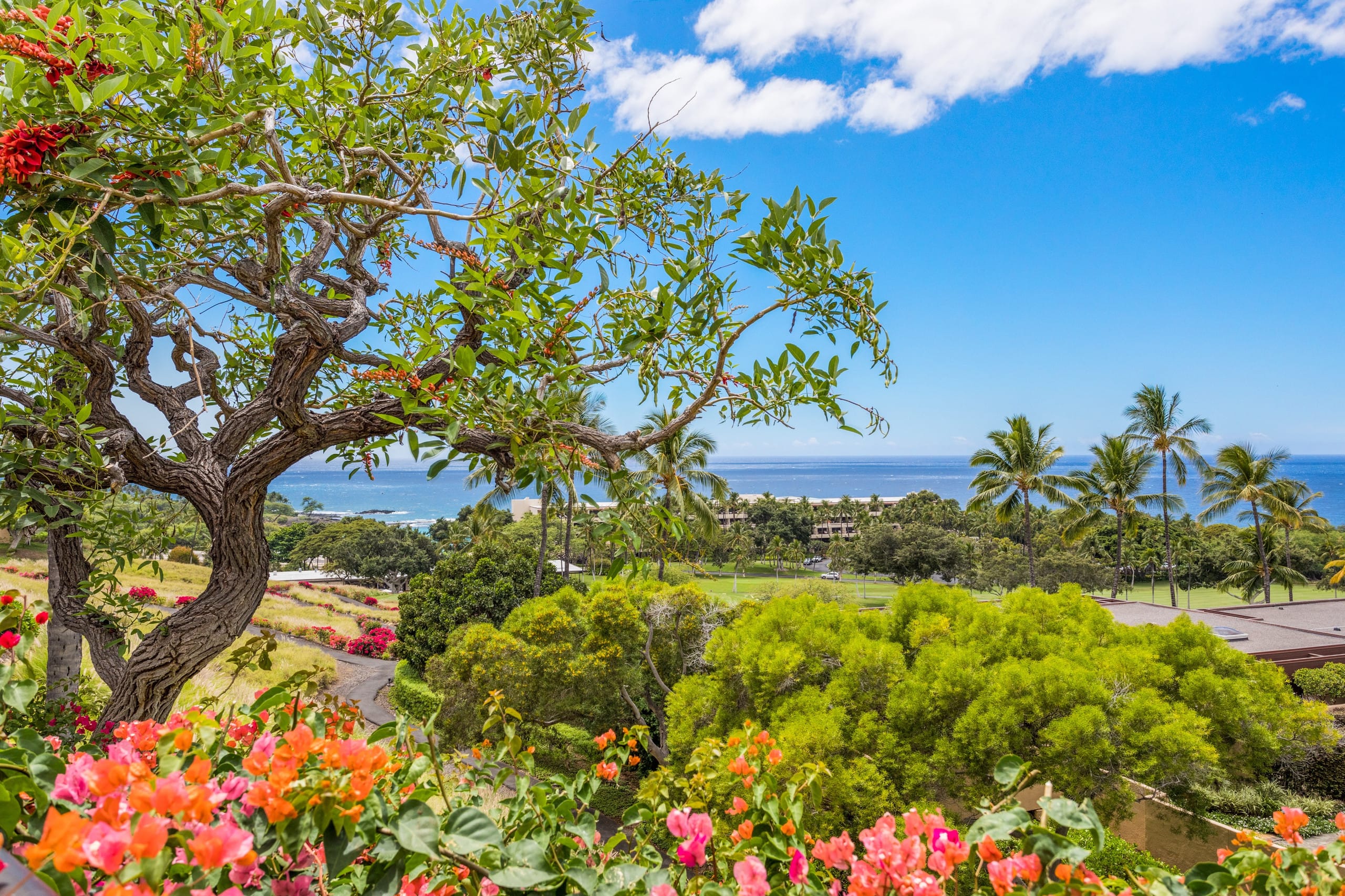 Home in Waimea · ★5.0 · 4 bedrooms · 7 beds · 4 baths - Image 41
