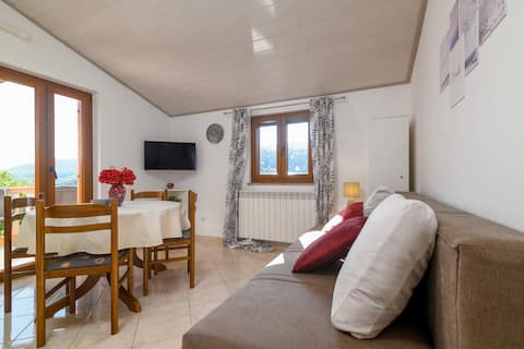 Popular Airbnb listing: A-2335-d One bedroom apartment with terrace and in Duga Luka
