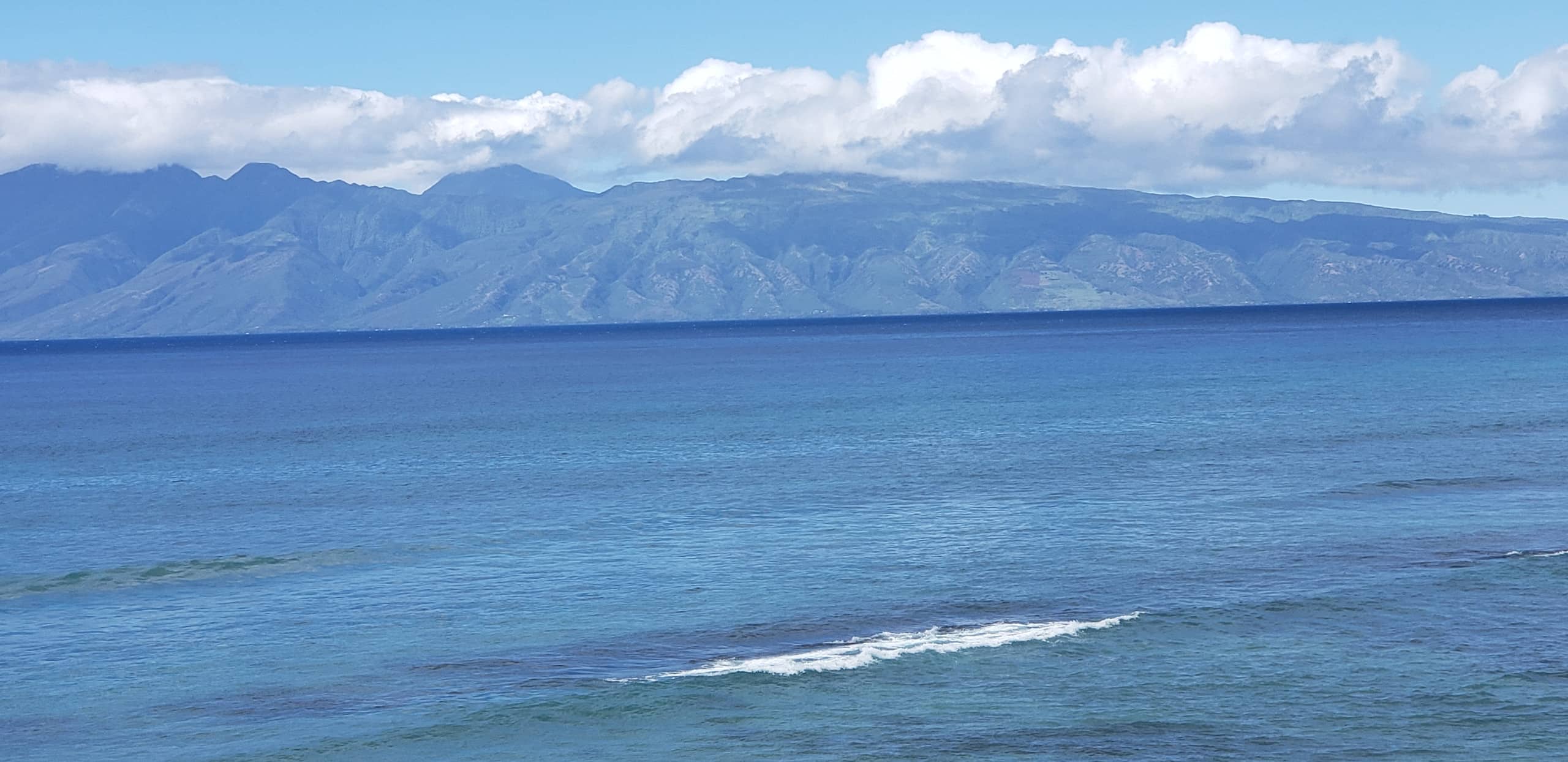Condo in Lahaina · ★4.86 · 1 bedroom · 1 bed · 1 bath - Image 15