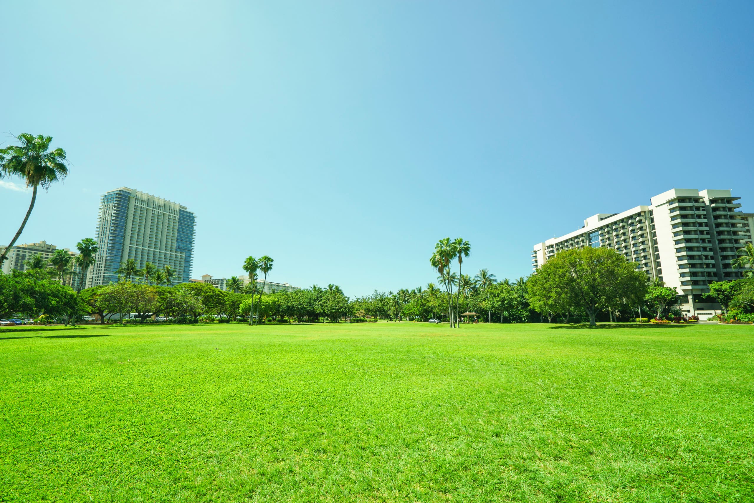 Condo in Honolulu · ★4.69 · 2 bedrooms · 3 beds · 2 shared baths - Image 15