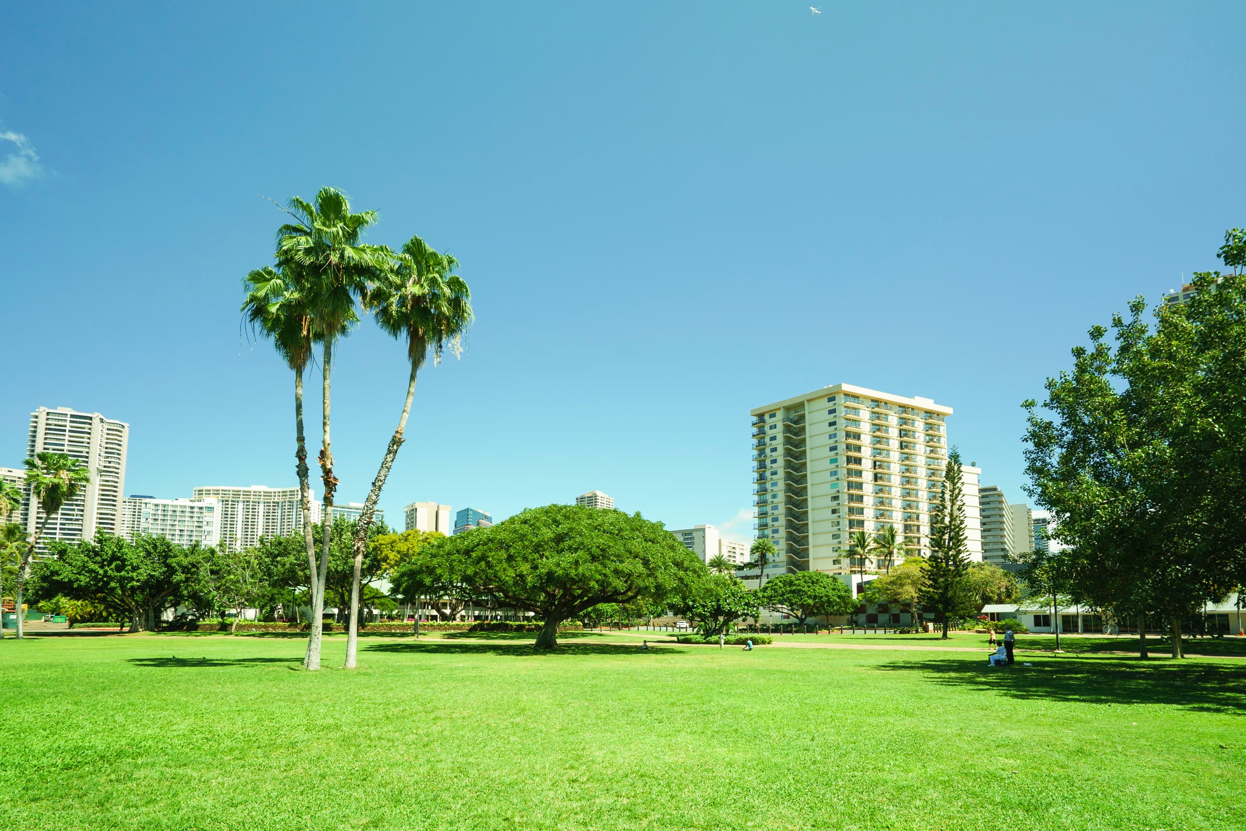 Condo in Honolulu · ★4.69 · 2 bedrooms · 3 beds · 2 shared baths - Image 13