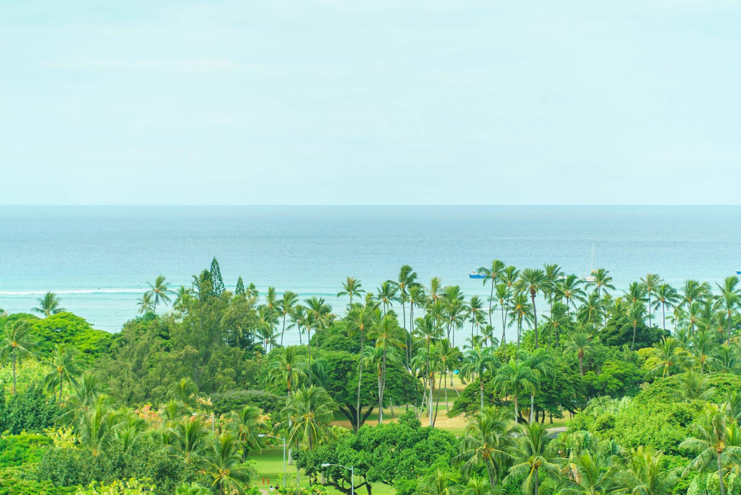Condo in Honolulu · ★4.69 · 2 bedrooms · 3 beds · 2 shared baths - Image 1
