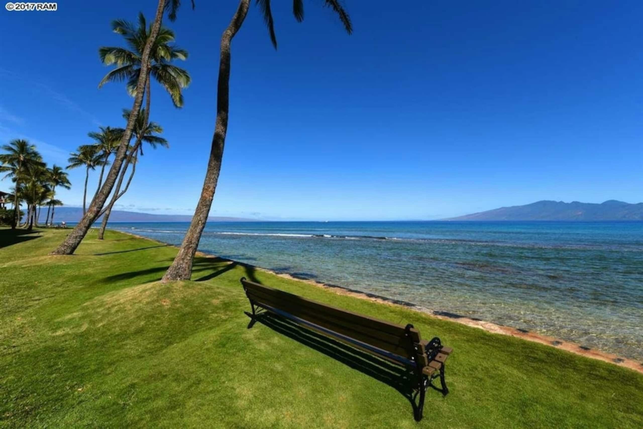 Best Location in Complex with Incredible View - Image 30
