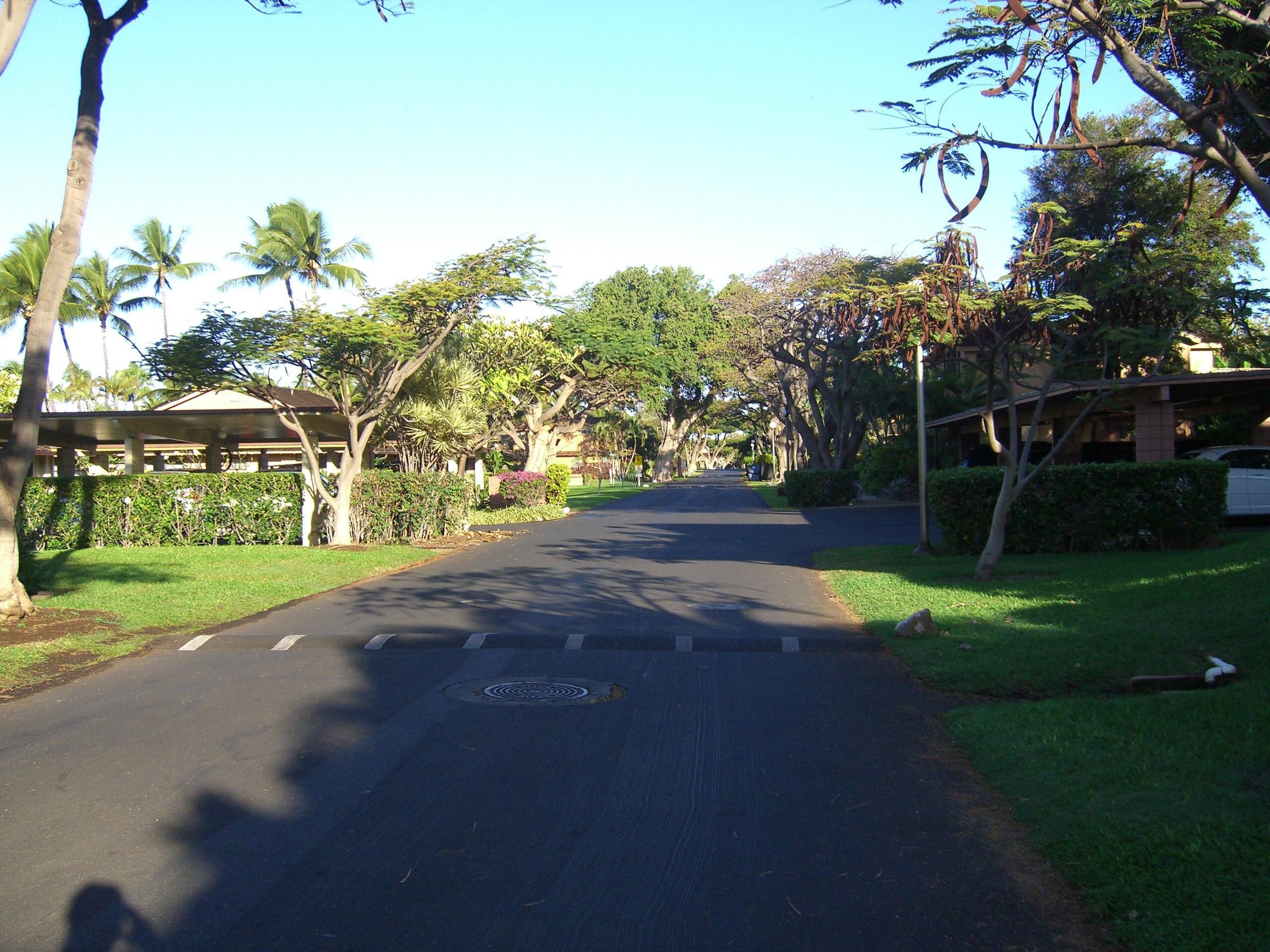 Townhouse in Lahaina · ★4.75 · 3 bedrooms · 3 beds · 2.5 baths - Image 28