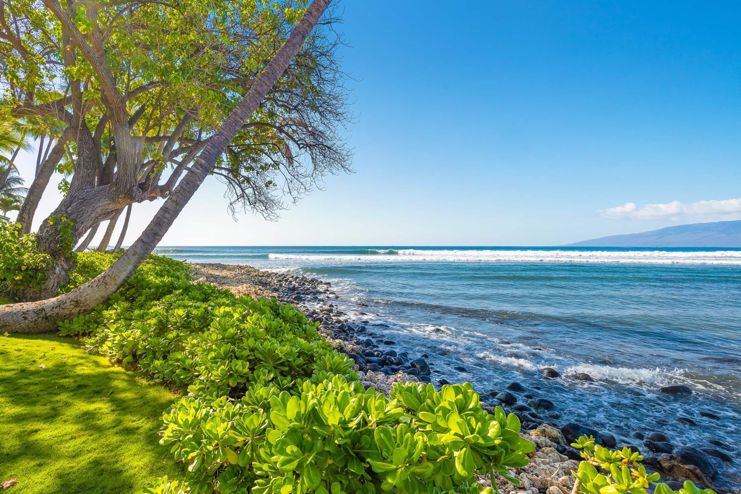 Townhouse in Lahaina · ★4.75 · 3 bedrooms · 3 beds · 2.5 baths - Image 14