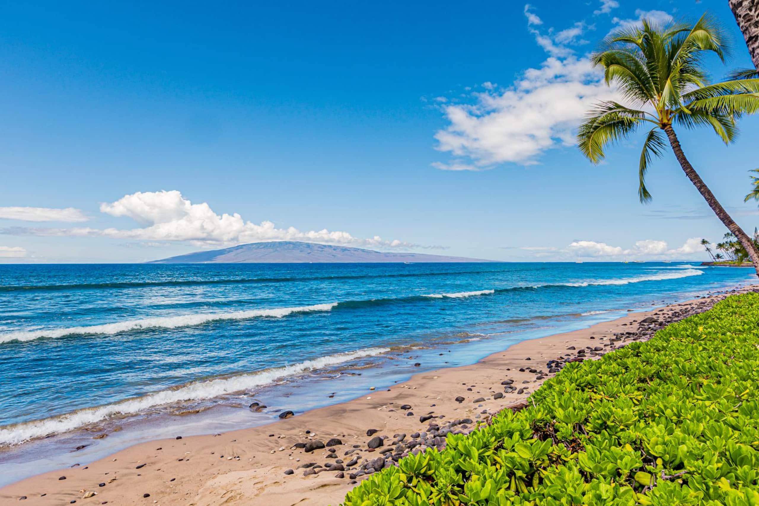 Townhouse in Lahaina · ★4.75 · 3 bedrooms · 3 beds · 2.5 baths - Image 17
