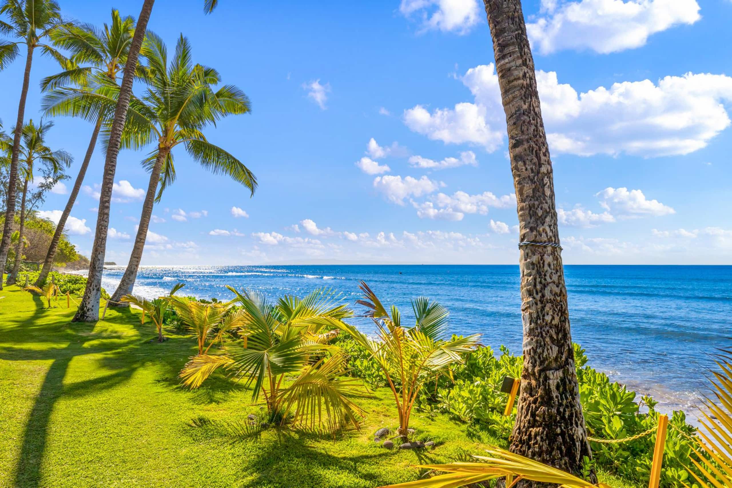 Condo in Lahaina · ★4.93 · 4 bedrooms · 5 beds · 3 baths - Image 33