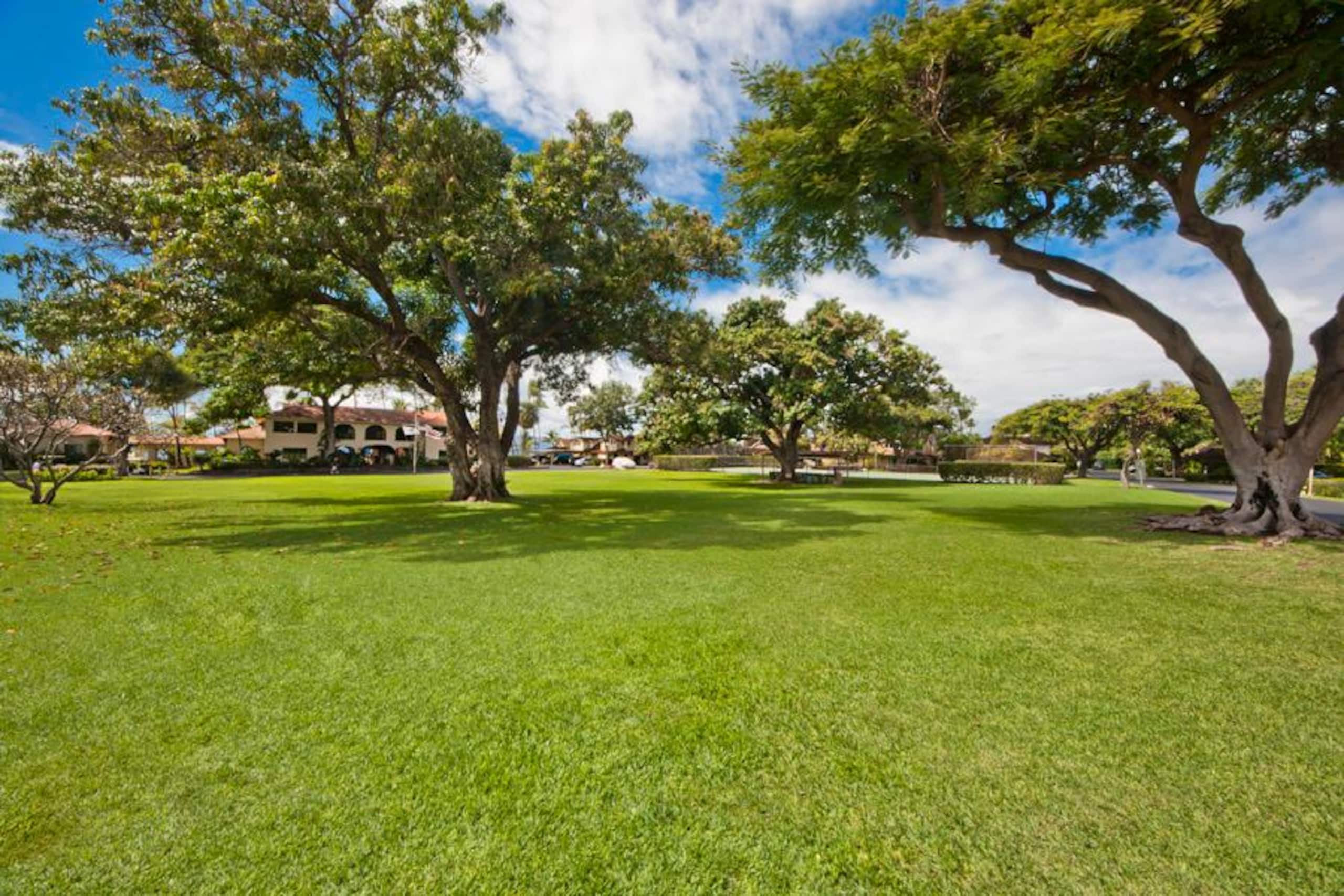 Condo in Lahaina · ★4.93 · 4 bedrooms · 5 beds · 3 baths - Image 43