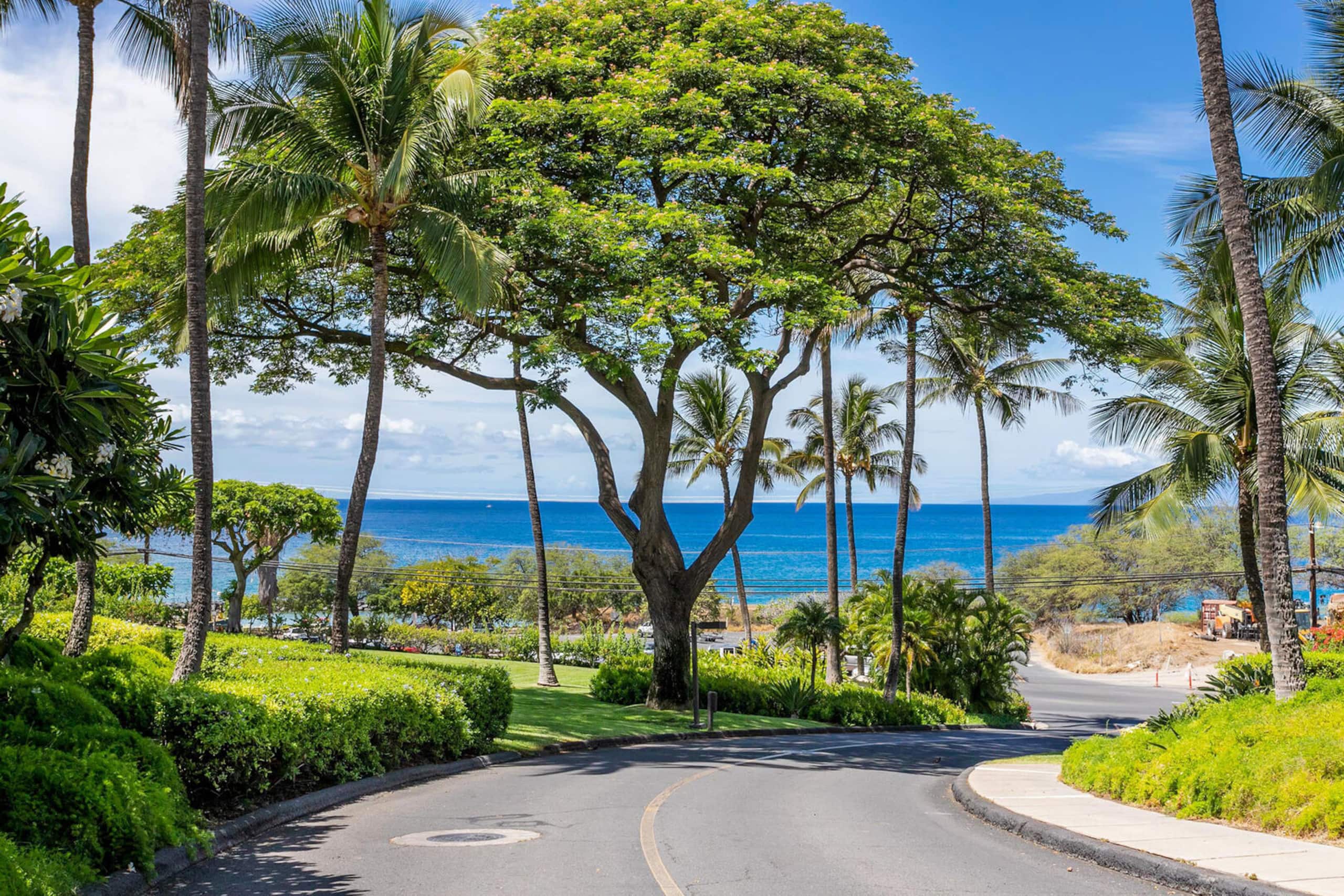 Condo in Kihei · ★4.84 · 2 bedrooms · 3 beds · 2 private baths - Image 43