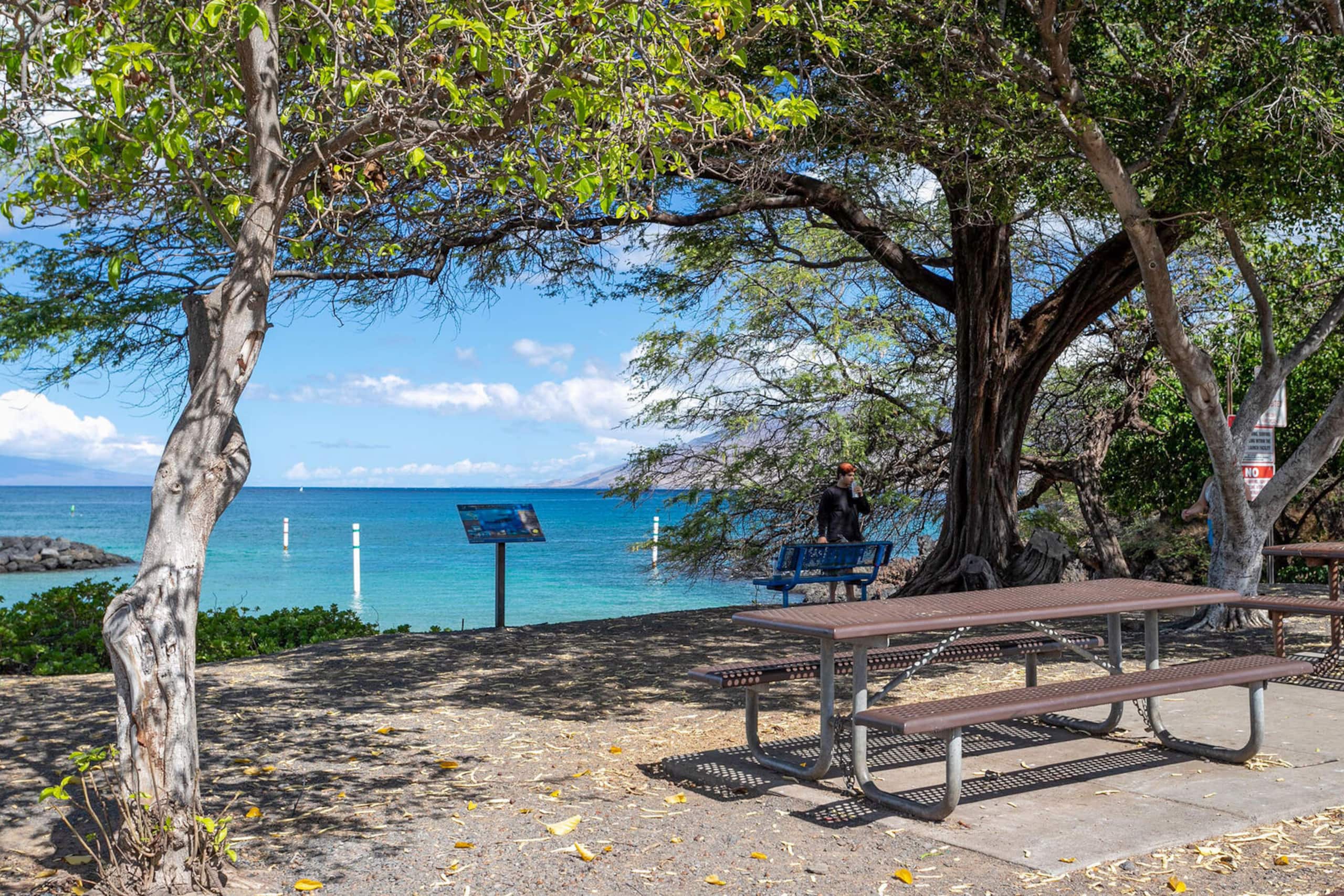 Condo in Kihei · ★4.84 · 2 bedrooms · 3 beds · 2 private baths - Image 48
