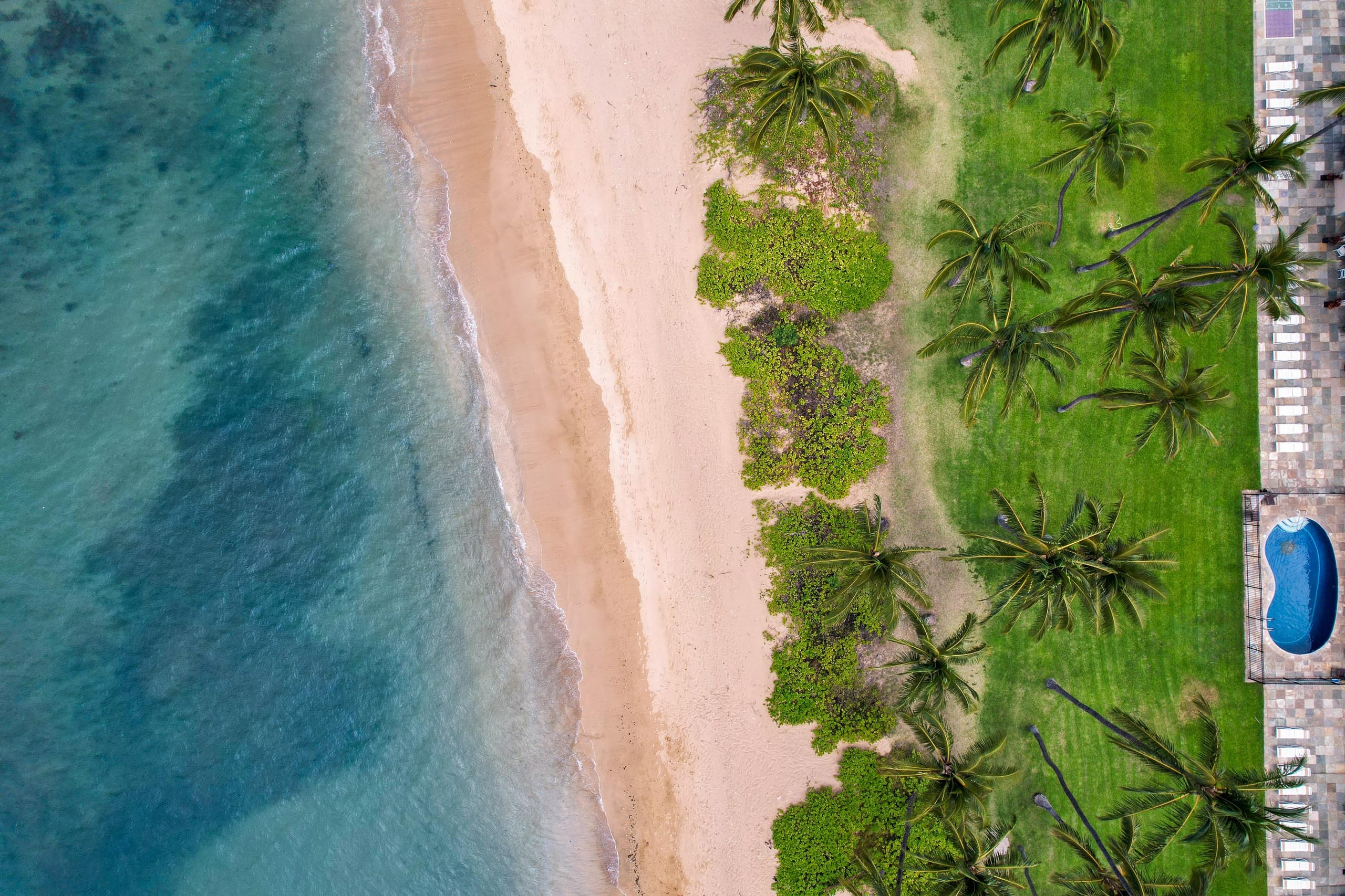 Condo in Kihei · ★4.92 · 1 bedroom · 1 bed · 1 private bath - Image 49