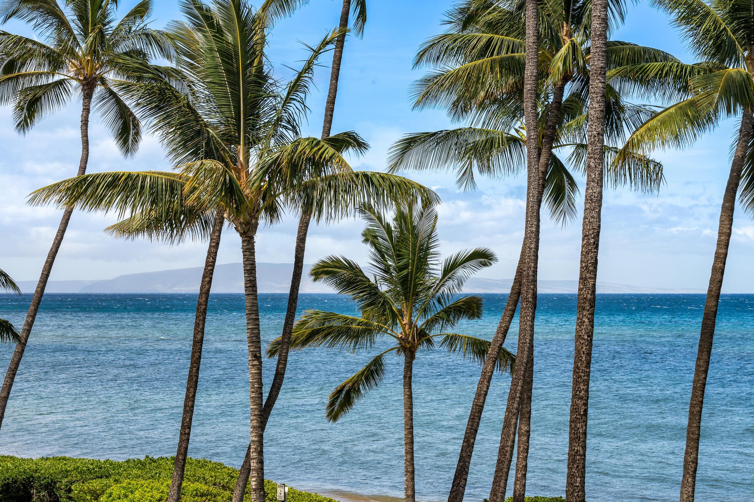 Condo in Kihei · ★4.92 · 1 bedroom · 1 bed · 1 private bath - Image 63