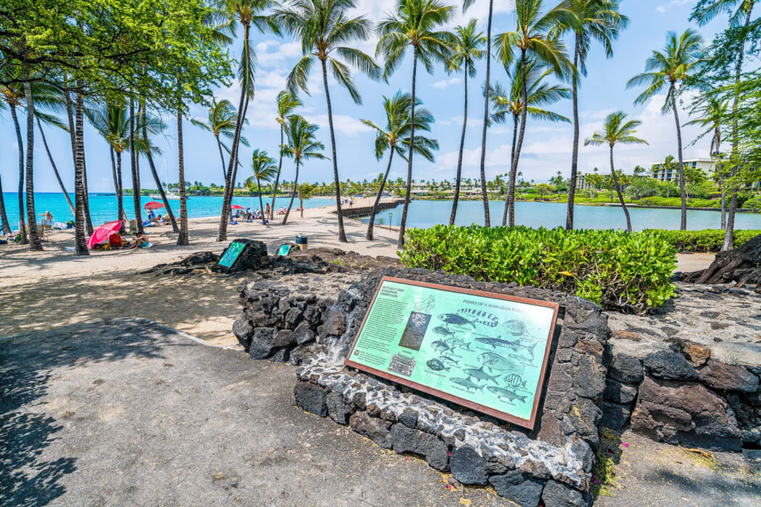Condo in Waikoloa Village · ★5.0 · 3 bedrooms · 4 beds · 2.5 baths - Photo 60