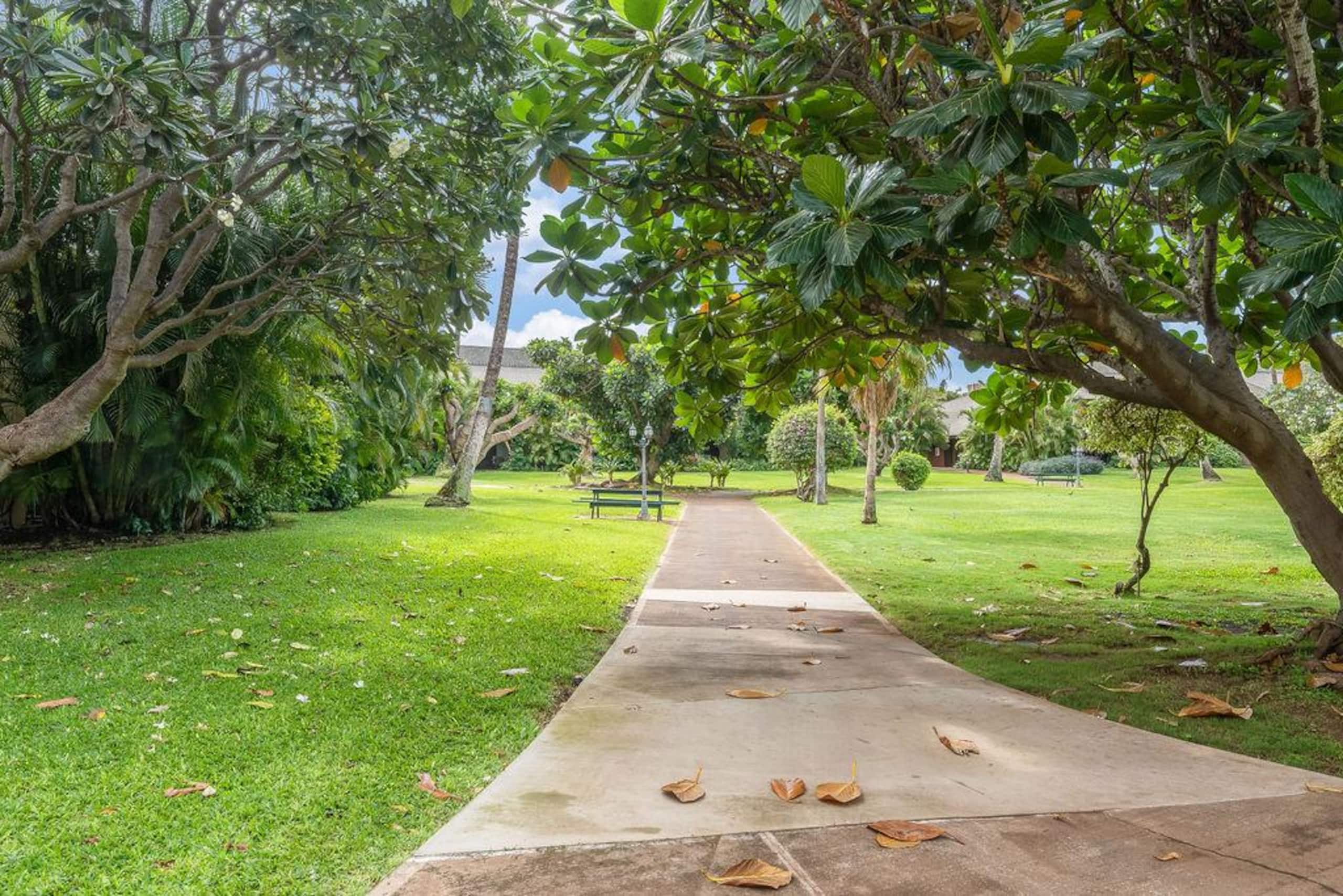 Condo in Kihei · ★4.95 · 2 bedrooms · 2 beds · 2 private baths - Image 33