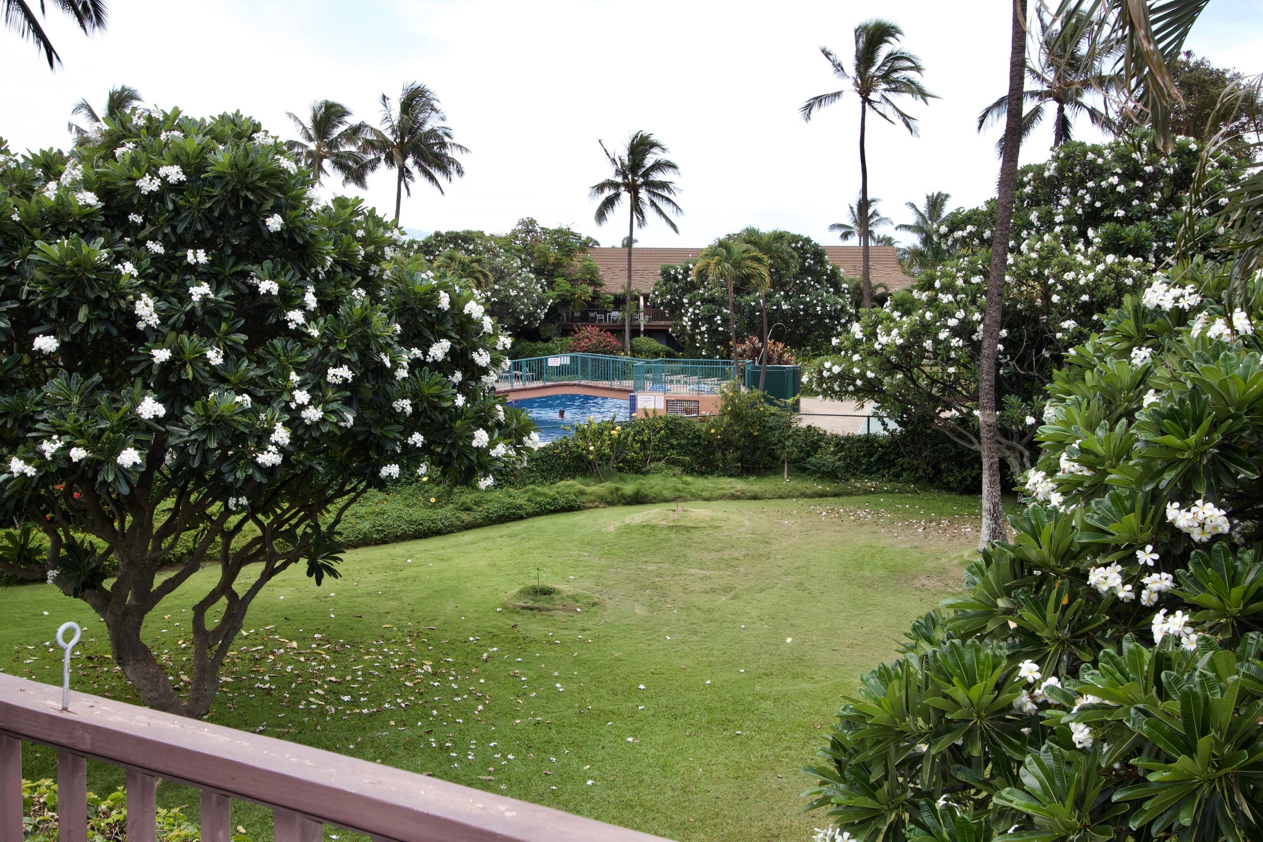 Condo in Kihei · ★4.95 · 2 bedrooms · 2 beds · 2 private baths - Image 62