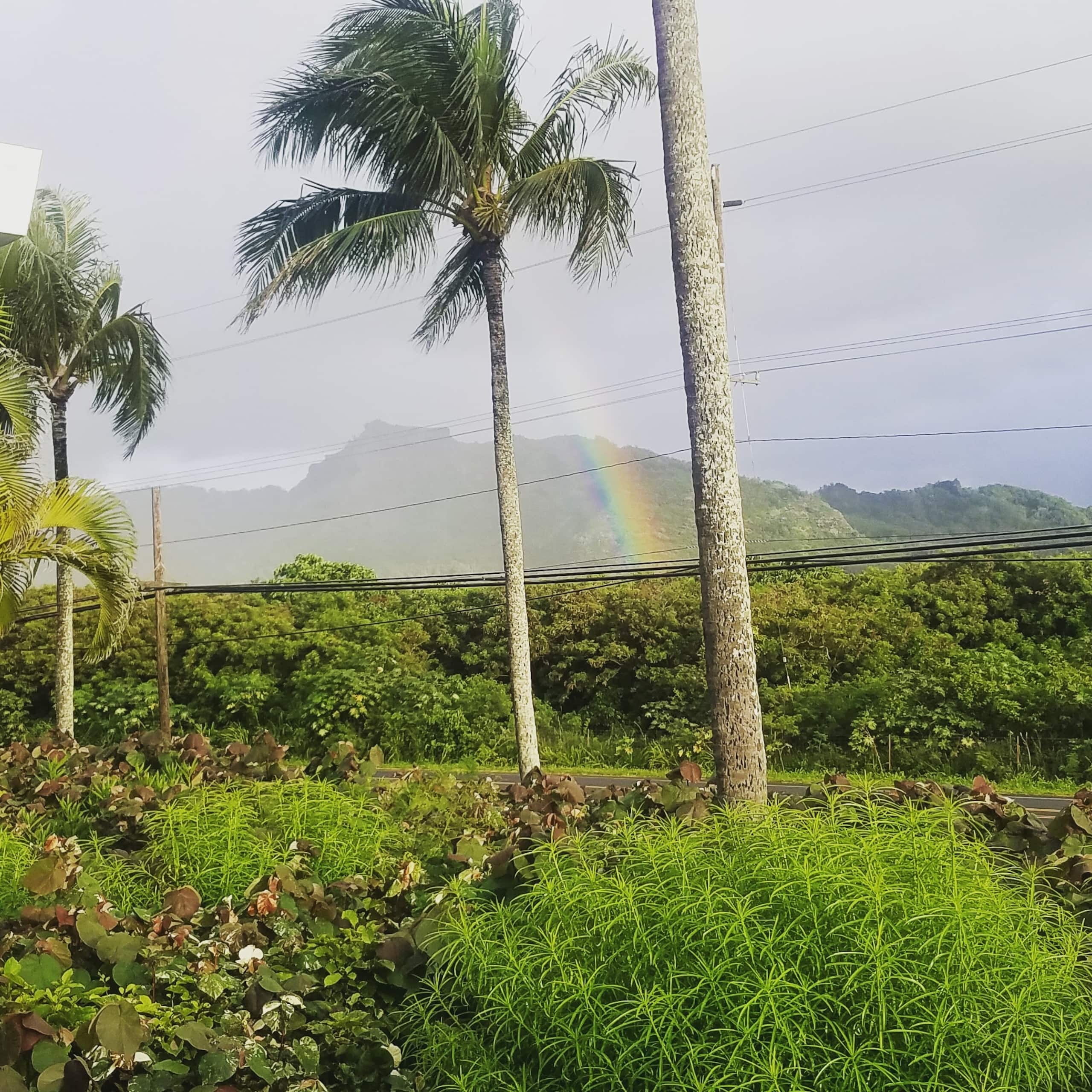 Plantation Hale B13, Kapaa Town, No Resort Fees - Photo 34