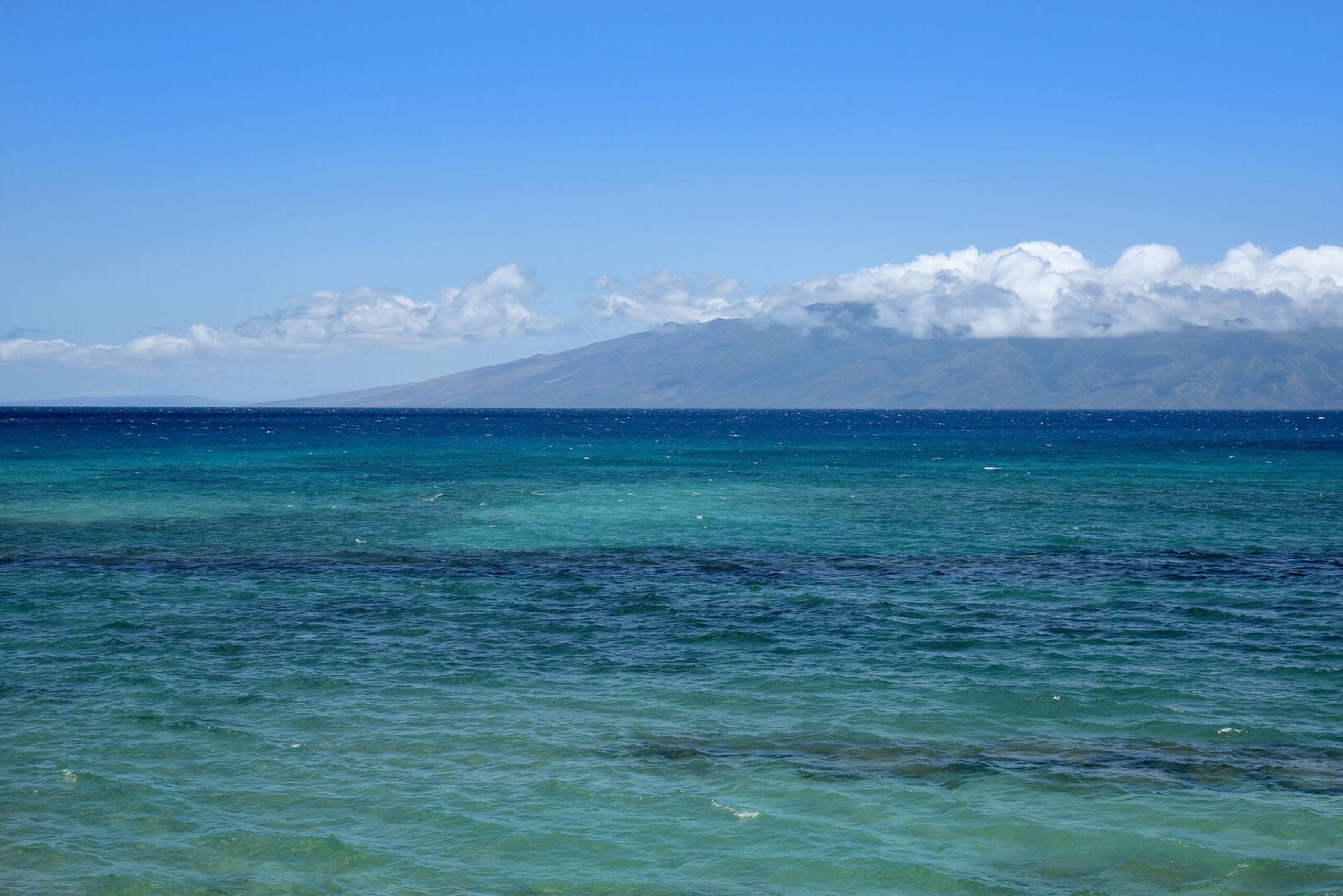 Condo in Lahaina · ★4.89 · 1 bedroom · 1 bed · 1 private bath - Image 25