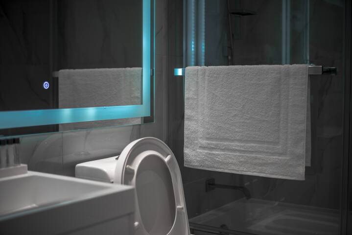 Luxuriate Mile End Condo in Montreal gallery image 4