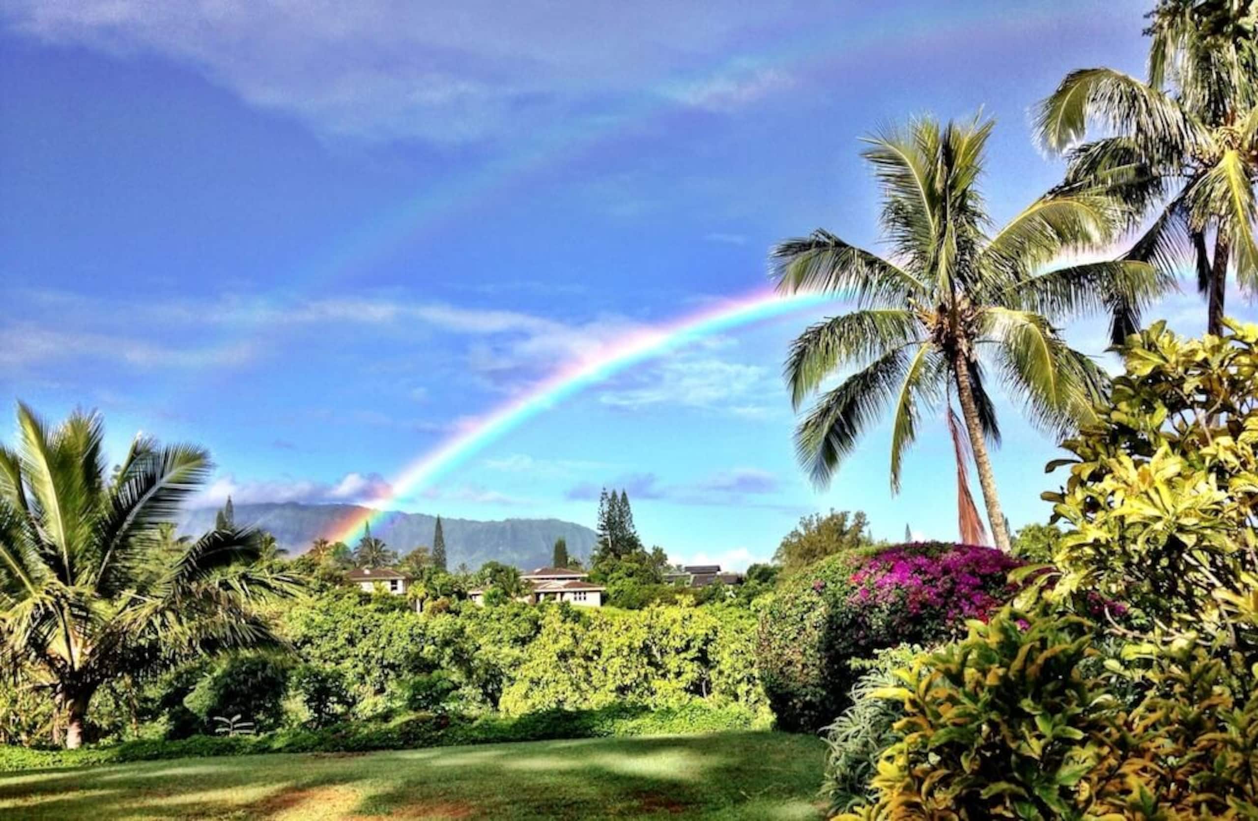 Condo in Princeville · ★4.93 · 2 bedrooms · 2 beds · 2 private baths - Image 27