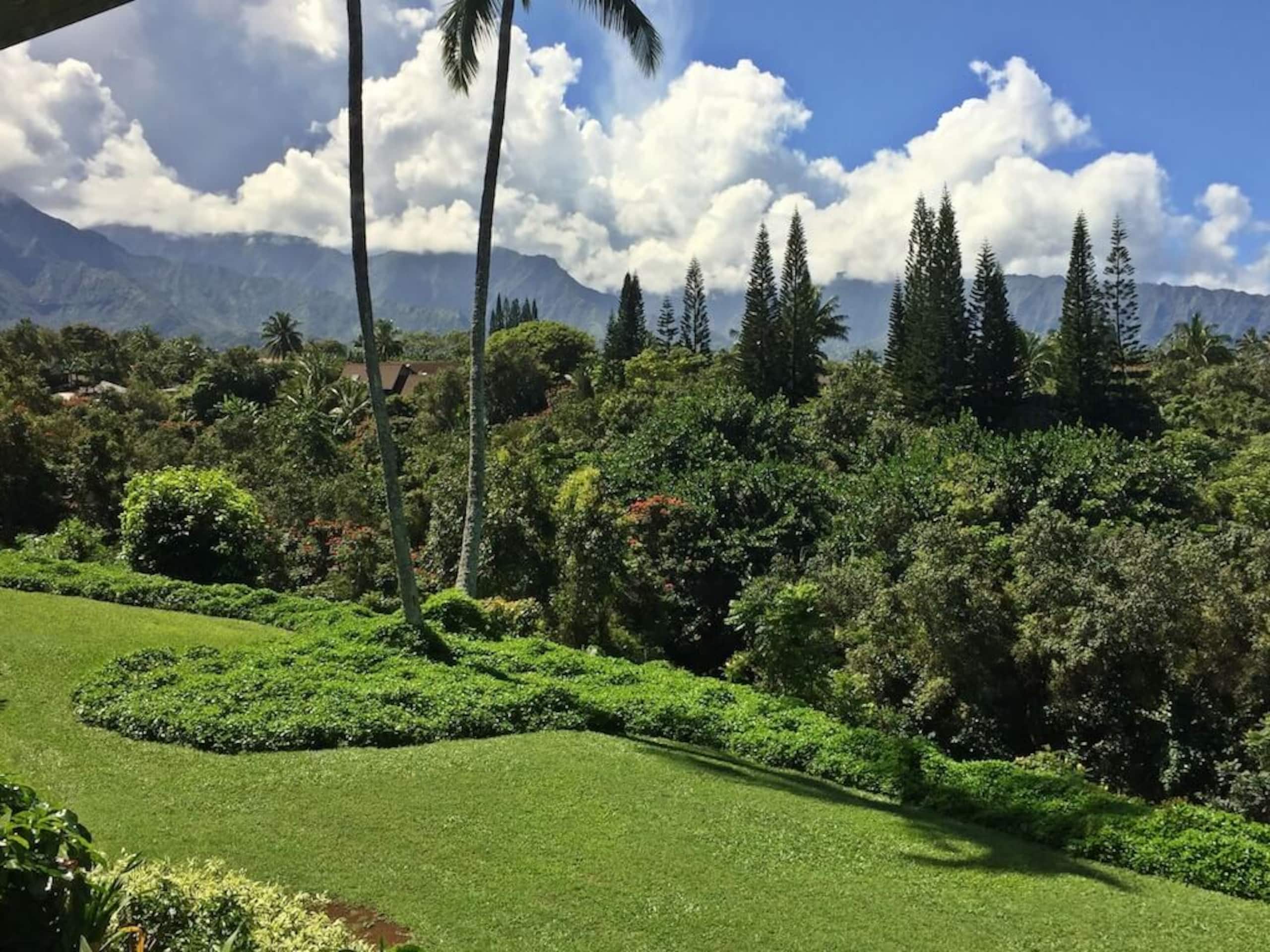 Condo in Princeville · ★4.93 · 2 bedrooms · 2 beds · 2 private baths - Image 14