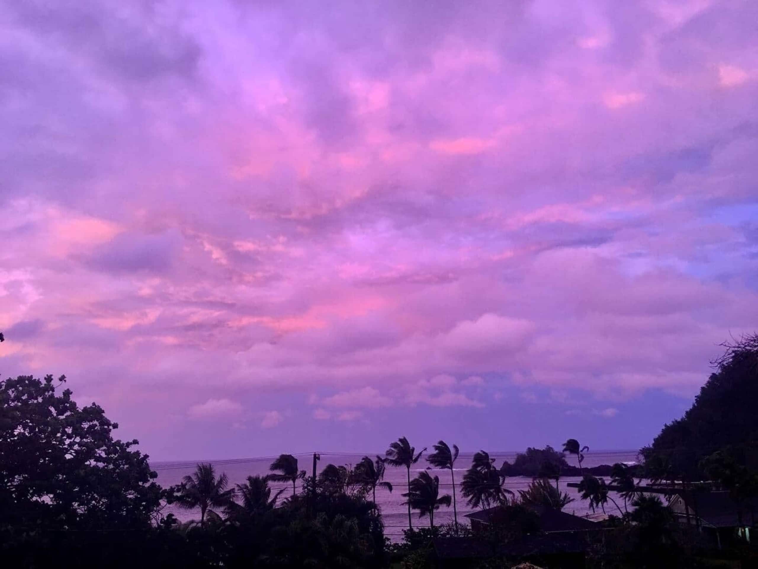 Hana Homestead by the Beach - Photo 5